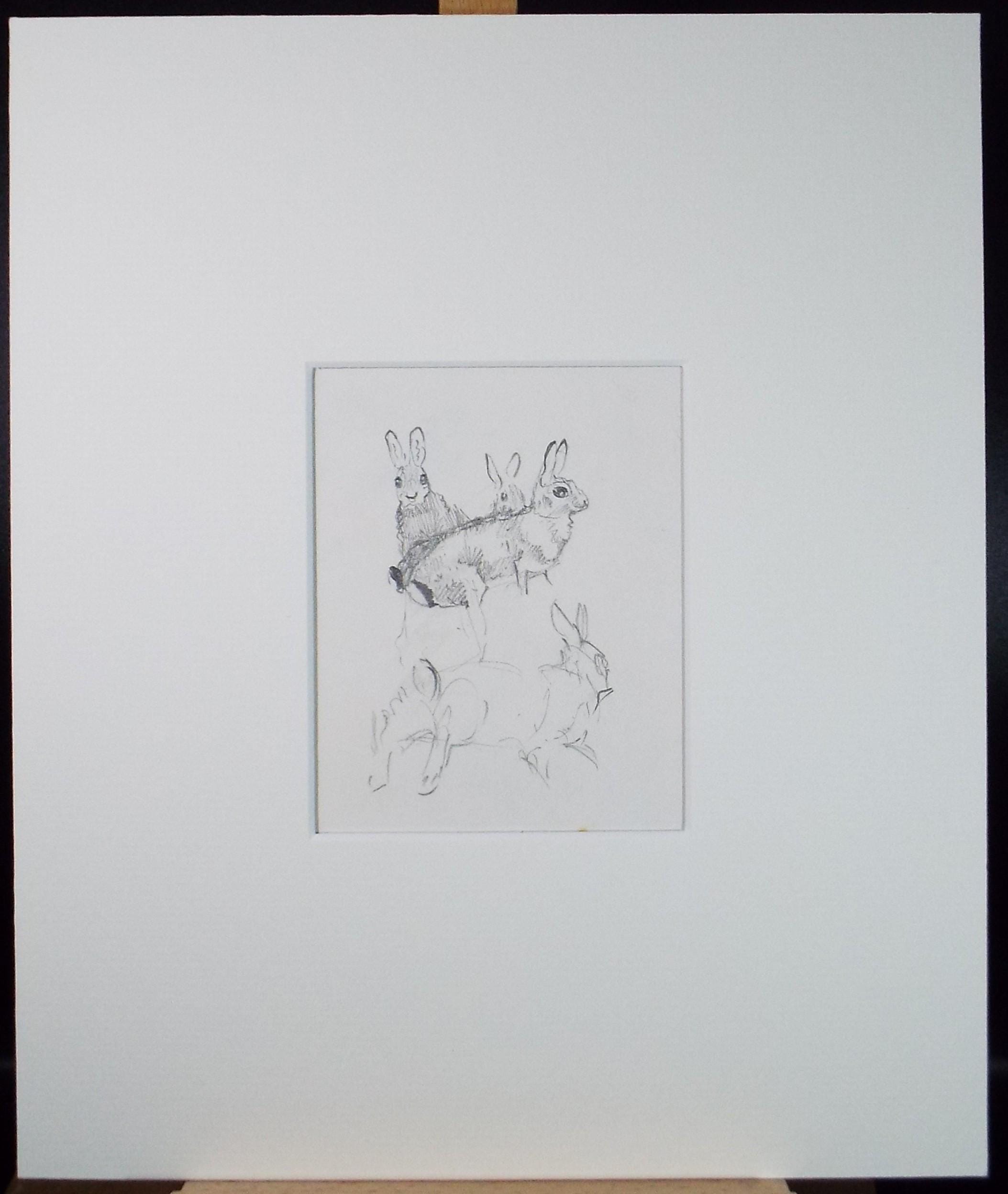 Original Pencil Sketch, 'Rabit Study', Michael Lyne (1912-1989), Mid 20th Century