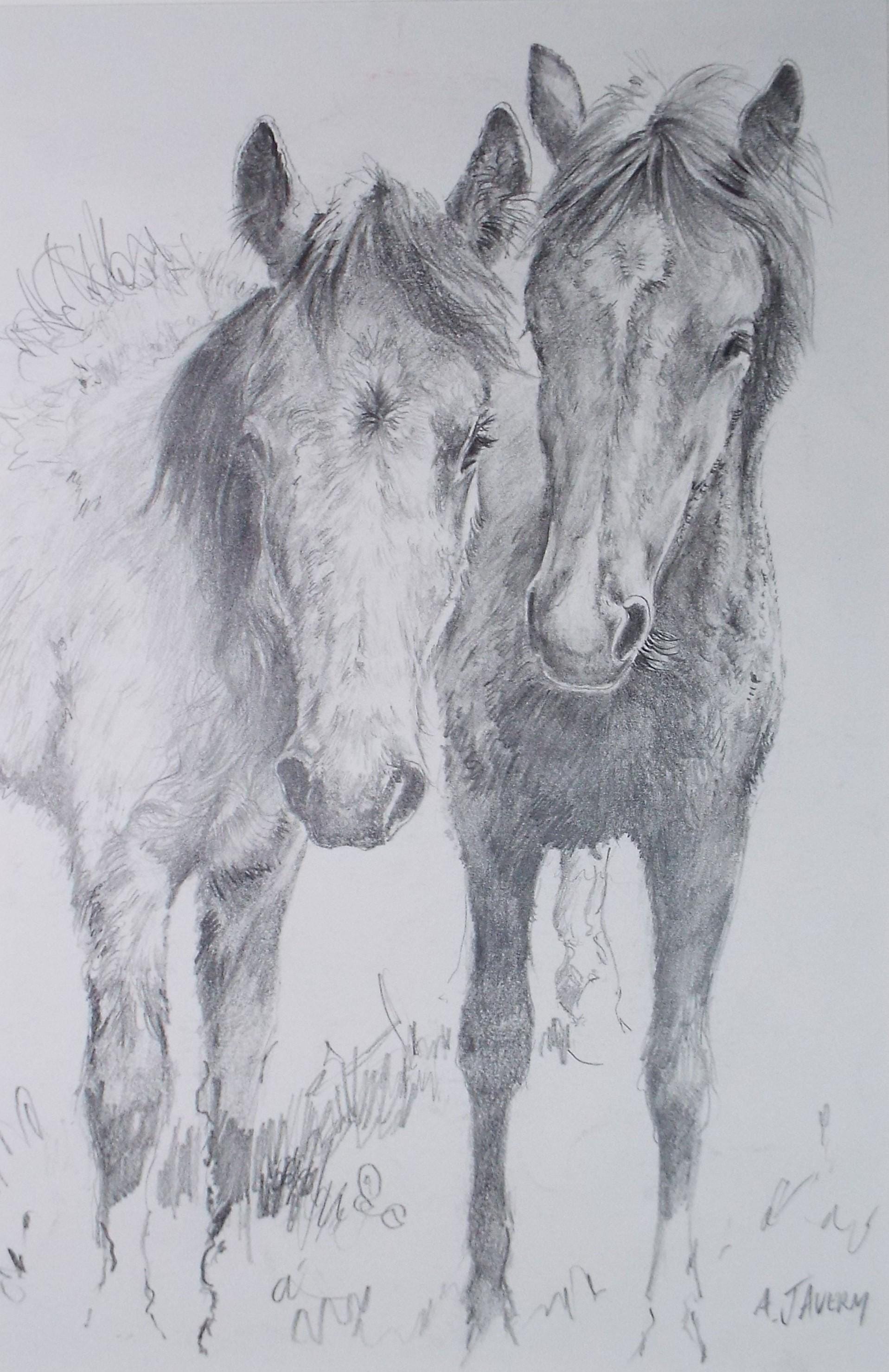 Original Pencil drawing, 'Two Ponies', A Javery, circa 1980's