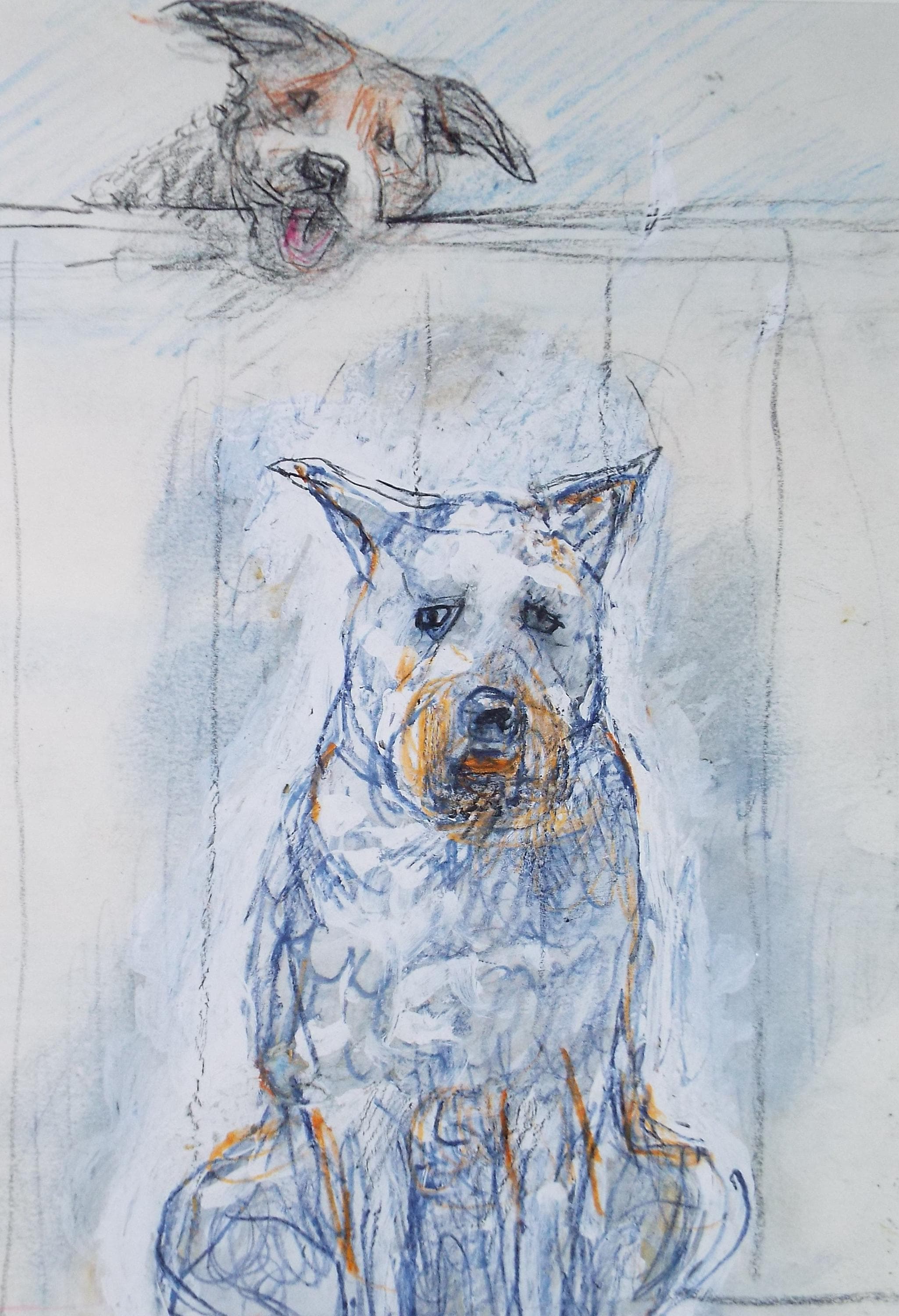 Original coloured pencil & Gouache,'Two Dogs', 2005, John Gilbey Bowles (1929-2011)
