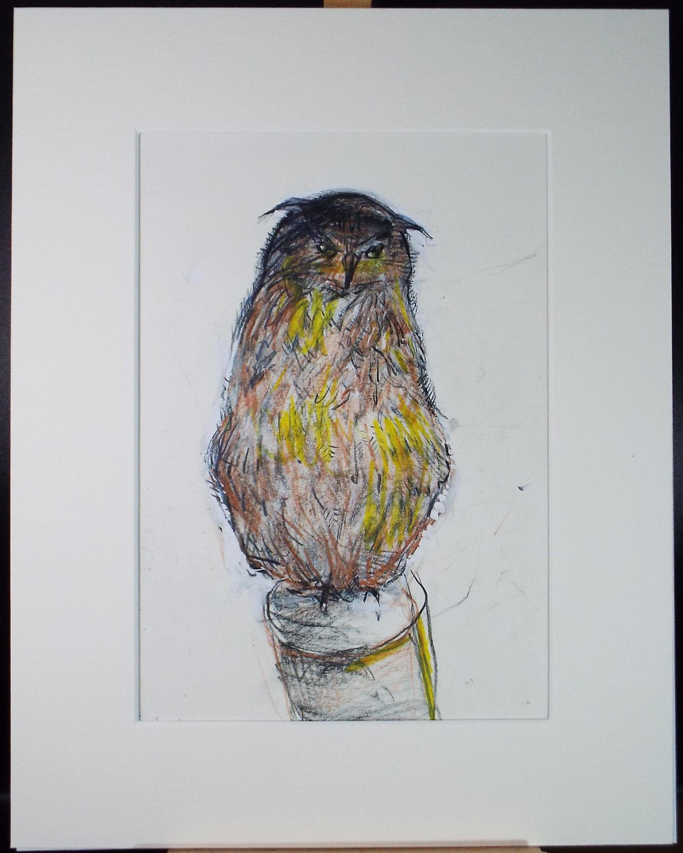 Original coloured pencil & Gouache,'Owl', 2005, John Gilbey Bowles (1929-2011)