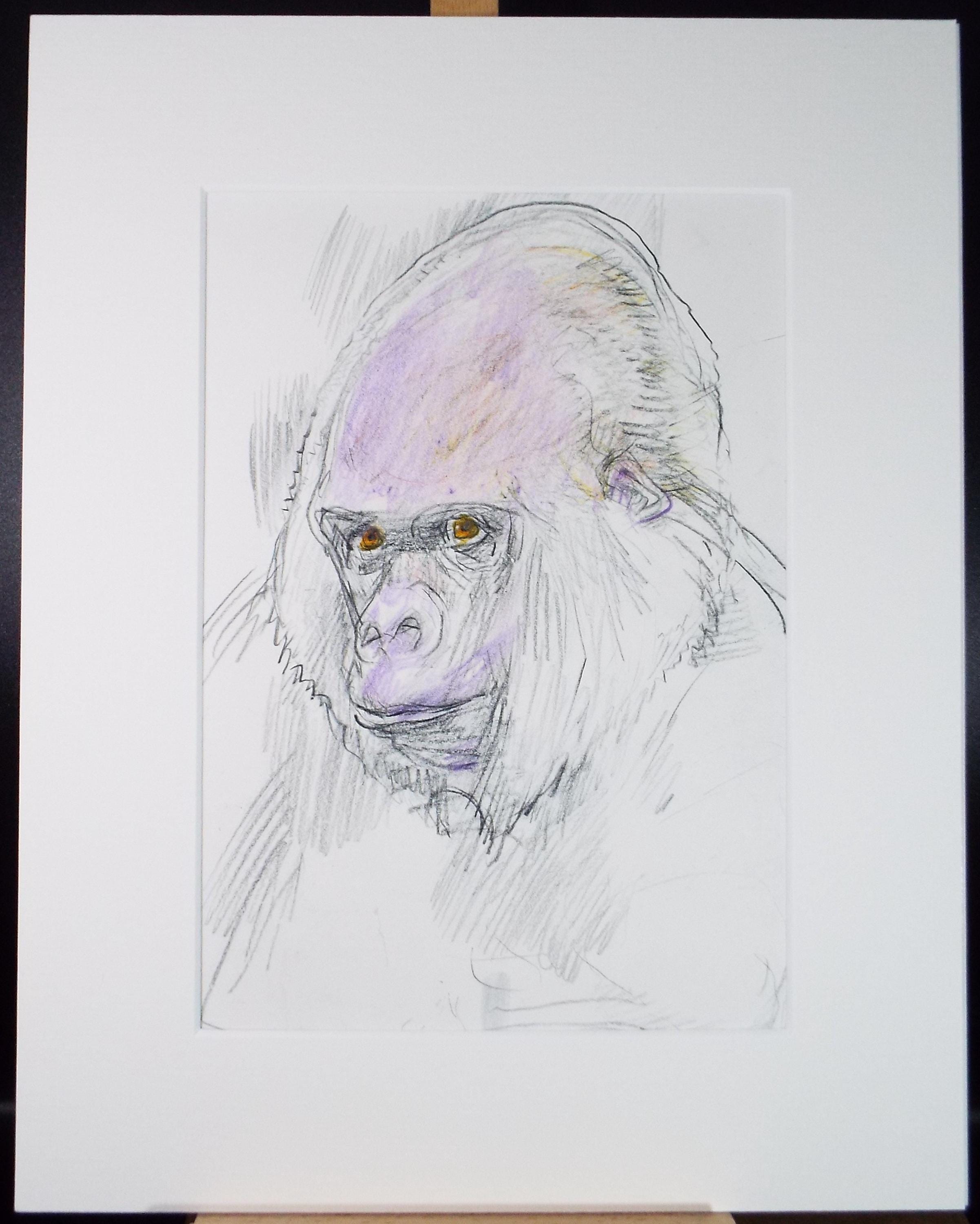 Original coloured pencil,'Gorilla', 2005, John Gilbey Bowles (1929-2011)