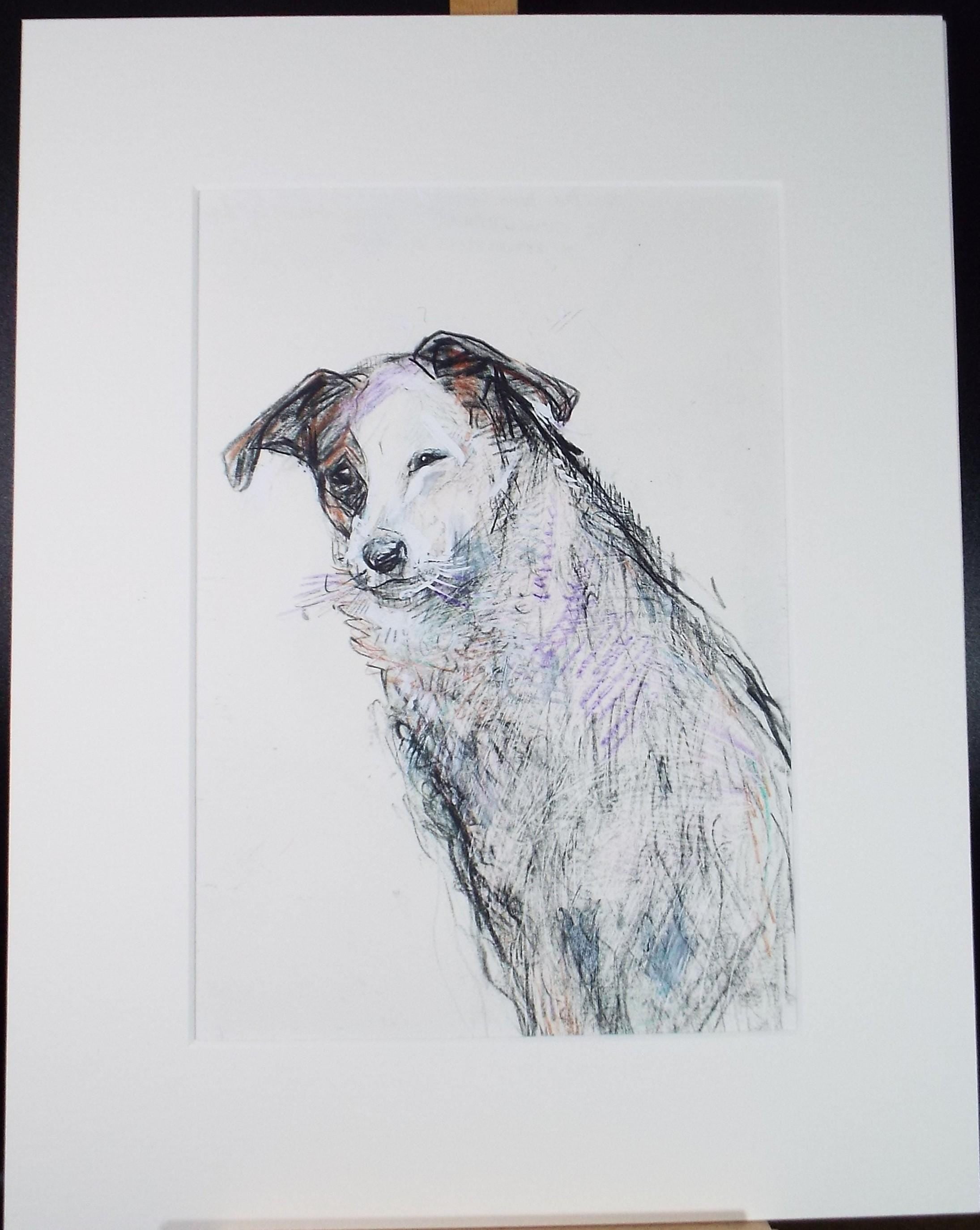 Original coloured pencil & Gouache,'Terrier', 2005, John Gilbey Bowles (1929-2011)