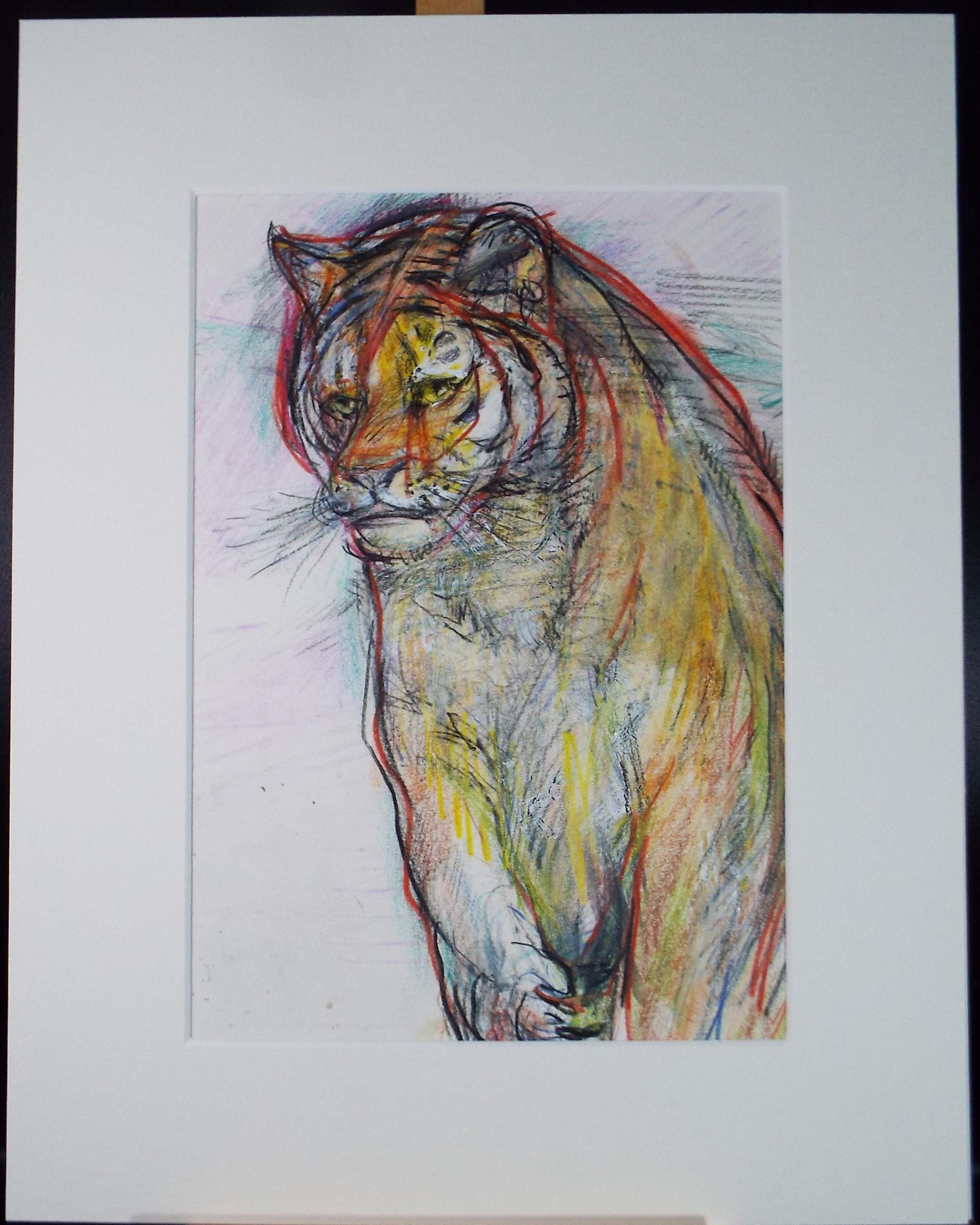 Original coloured pencil & Gouache,'Tiger', 2005, John Gilbey Bowles (1929-2011)