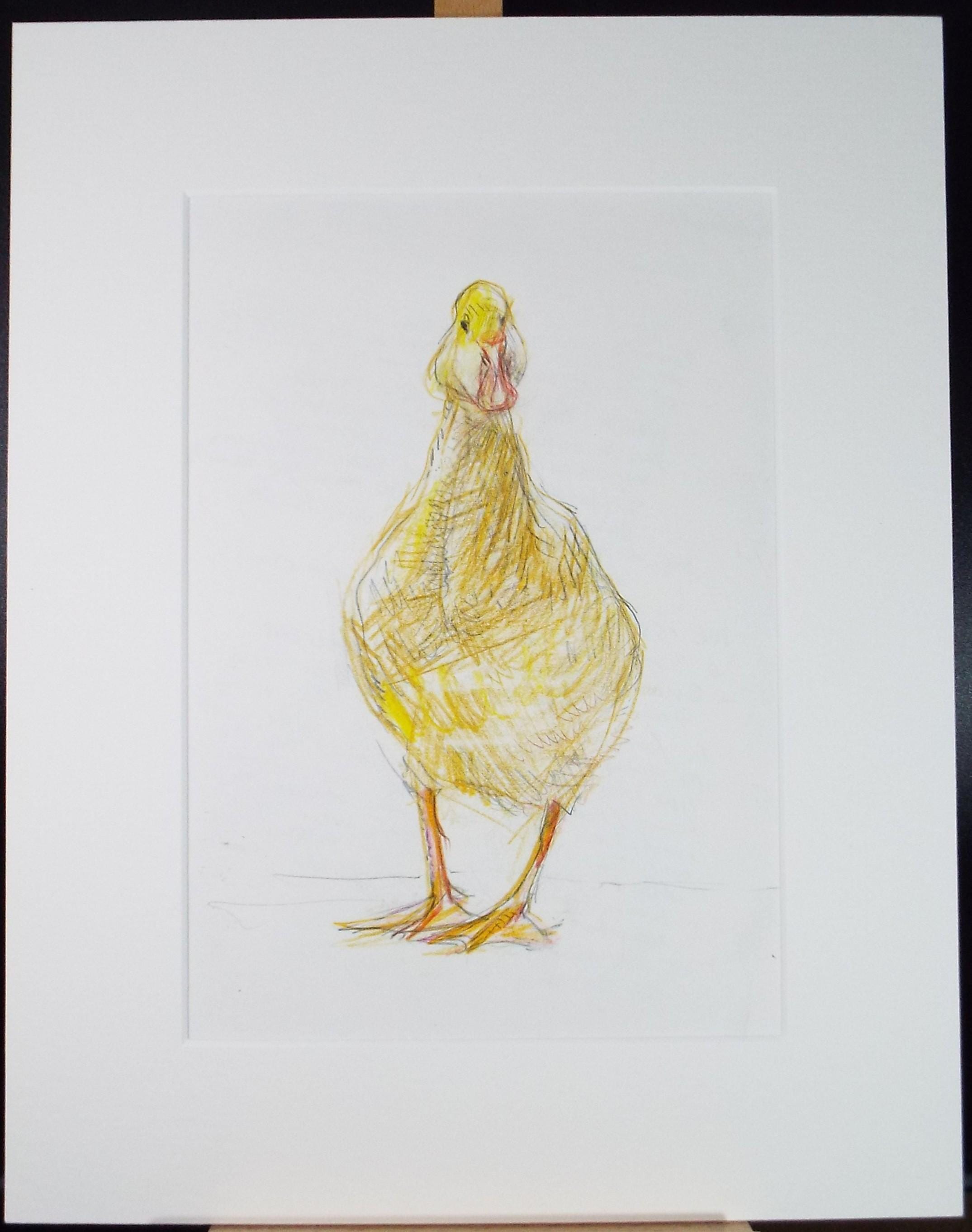 Original coloured pencil,'Duck', 2005, John Gilbey Bowles (1929-2011)