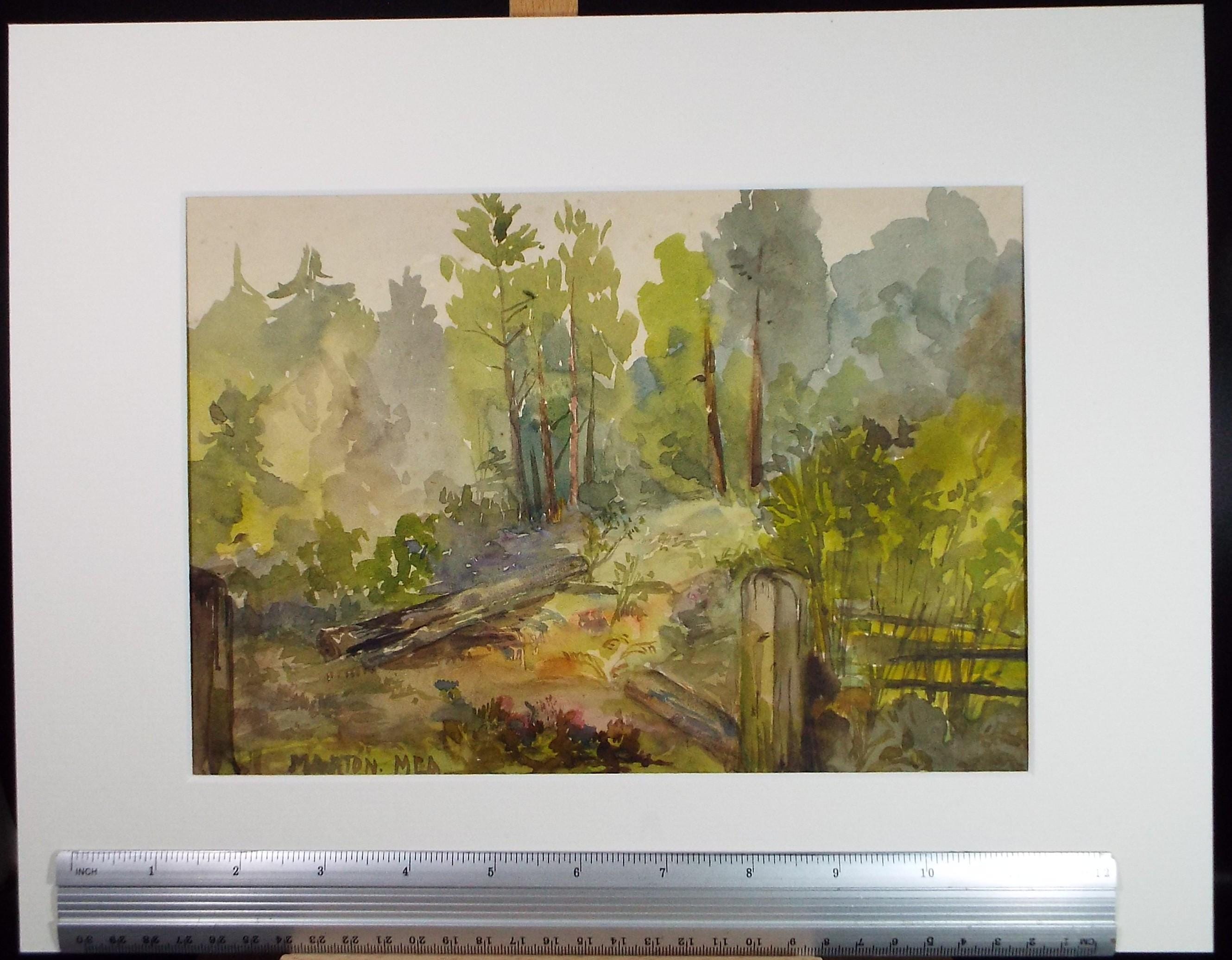 Original Watercolour , 'Woodland with felled trees', Circa 1900, M.E.A