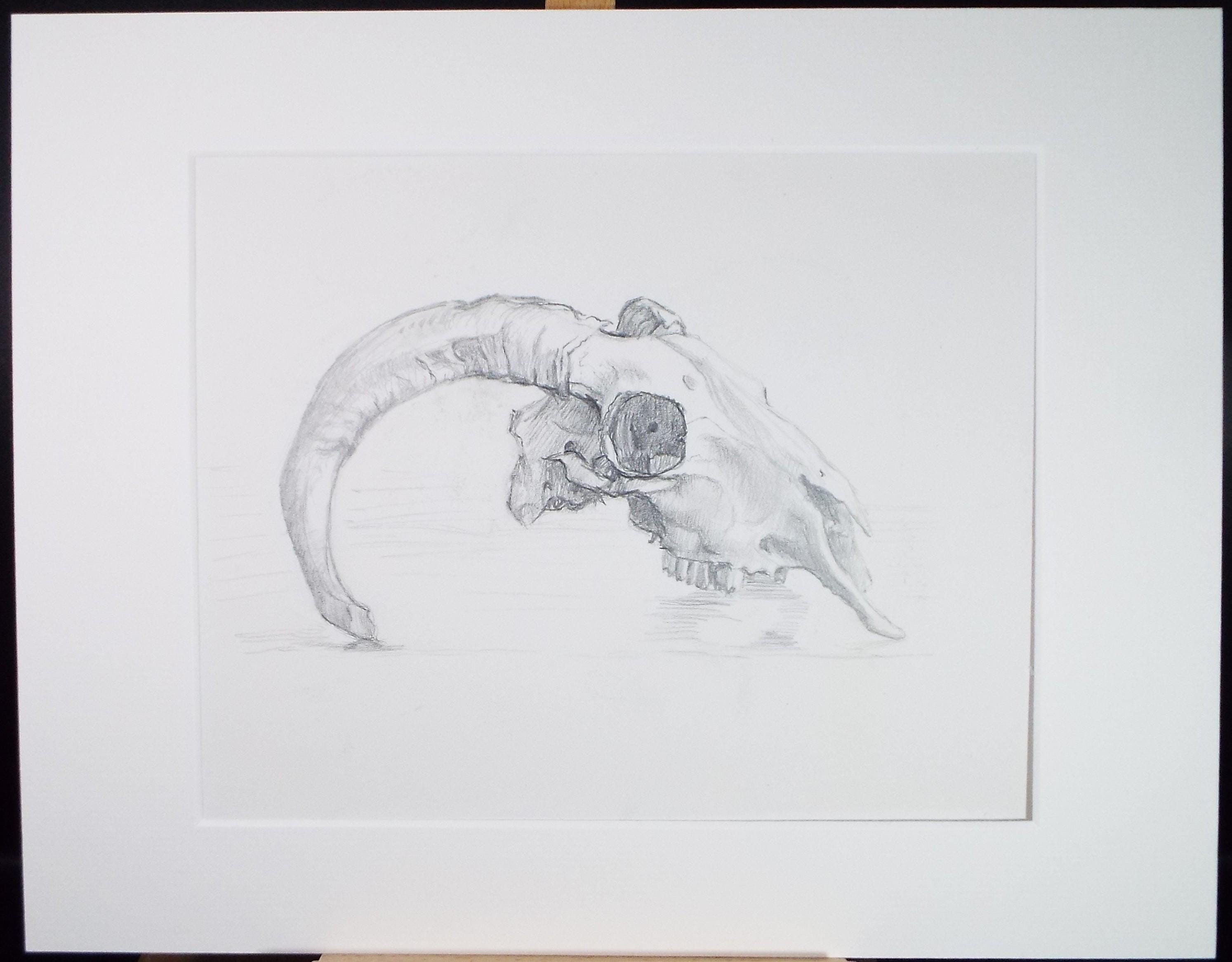 Original coloured pencil & Gouache,'Dinkle Dawkins', 2005, John Gilbey Bowles (1929-2011)