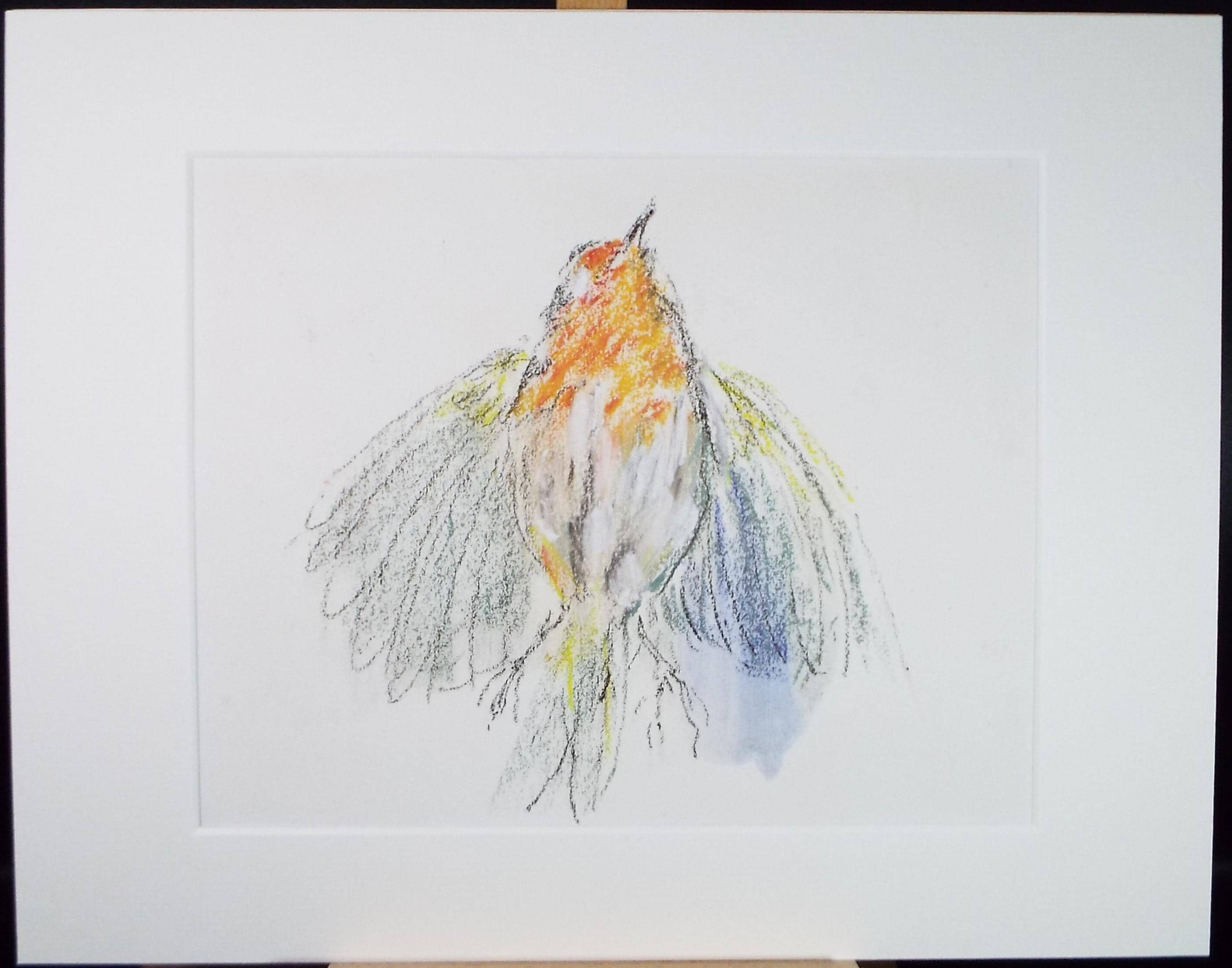 Original Pastel, 'Robin', Circa 1990's, Artist Unknown