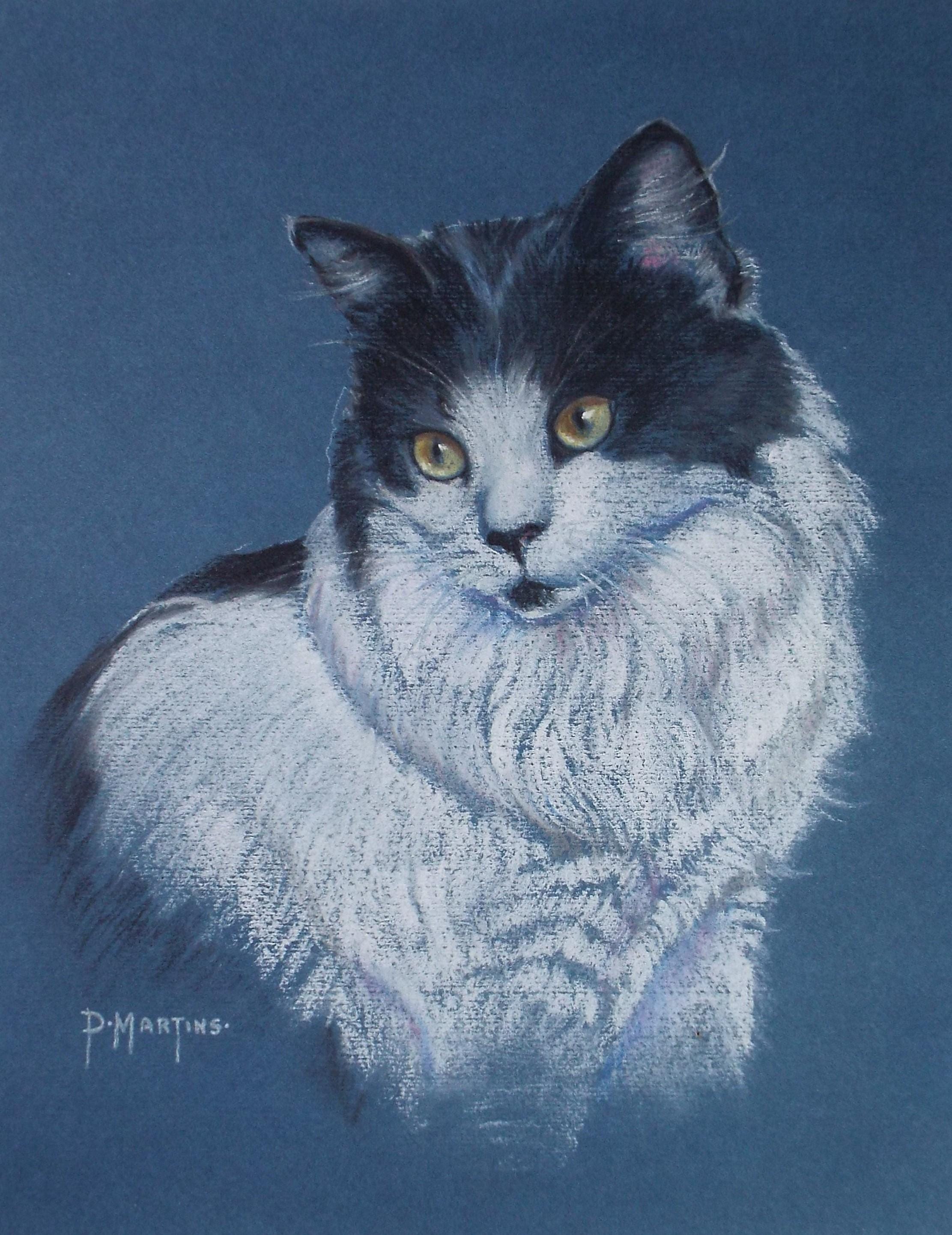 Original Pastel, 'Black & White Cat',P Martins s.o.f.a, Circa 1990's