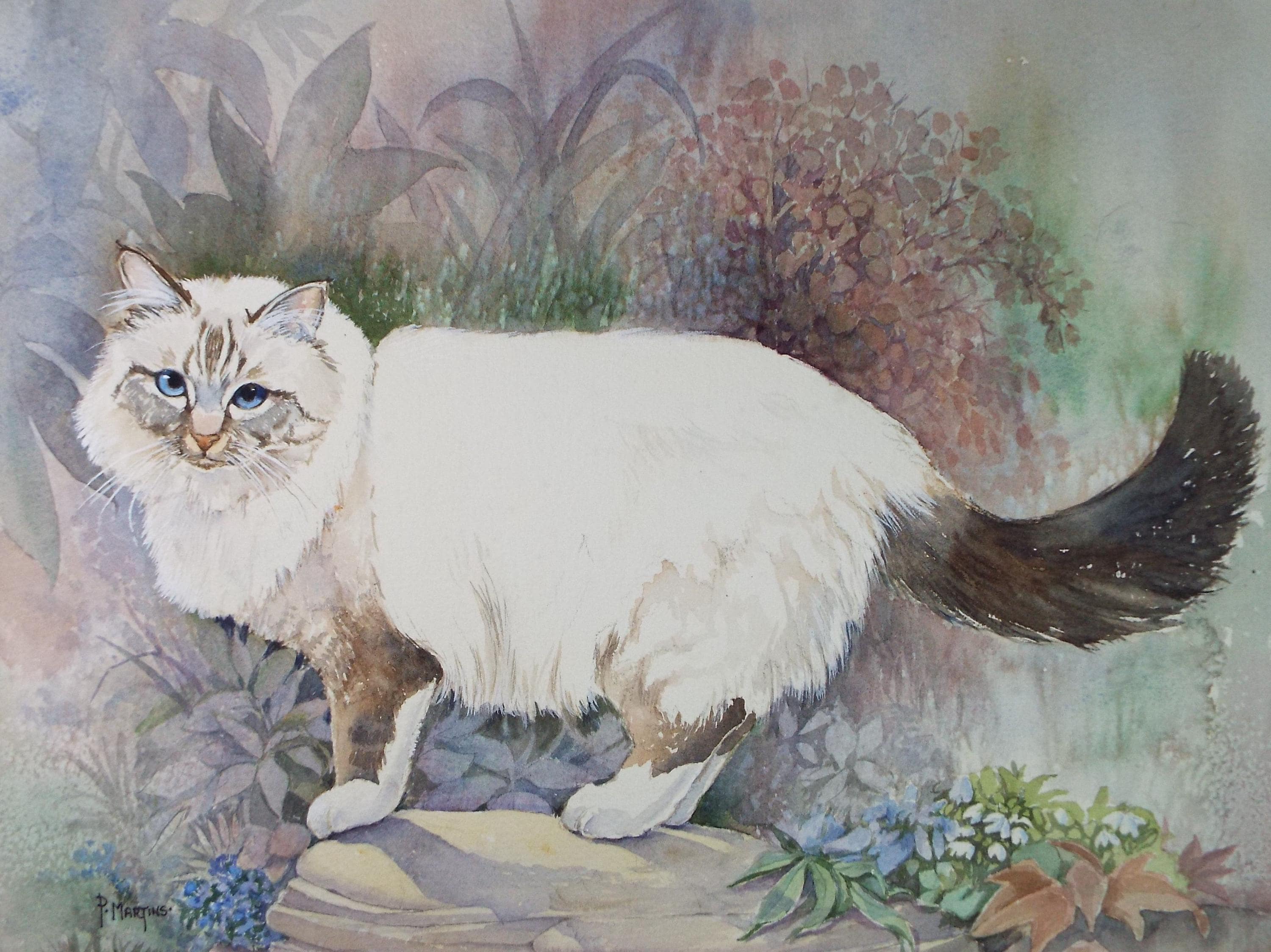Original Watercolour, 'Poppy - Cat in the Garden',P Martins s.o.f.a, Circa 1990's