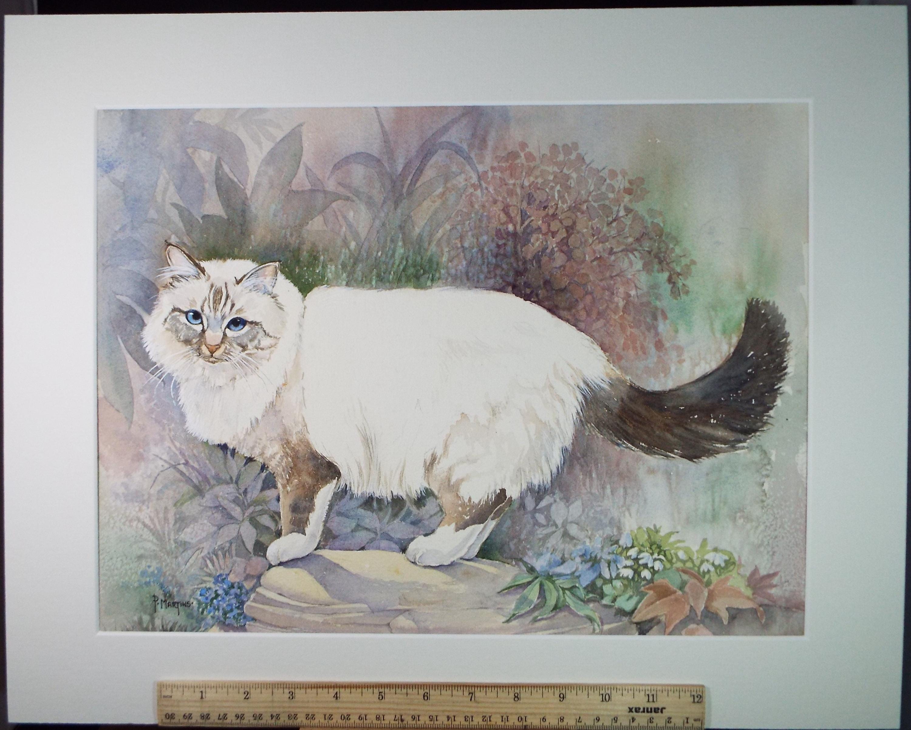 Original Watercolour, 'Poppy - Cat in the Garden',P Martins s.o.f.a, Circa 1990's
