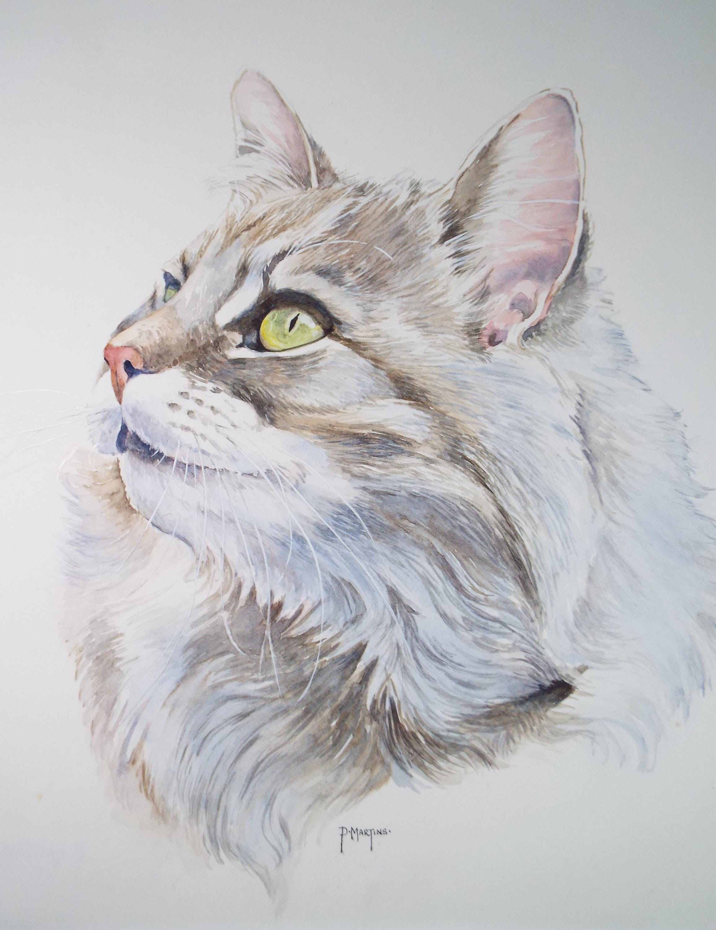 Original Watercolour, 'Sophie - Portrait of a cat',P Martins s.o.f.a, Circa 1990's
