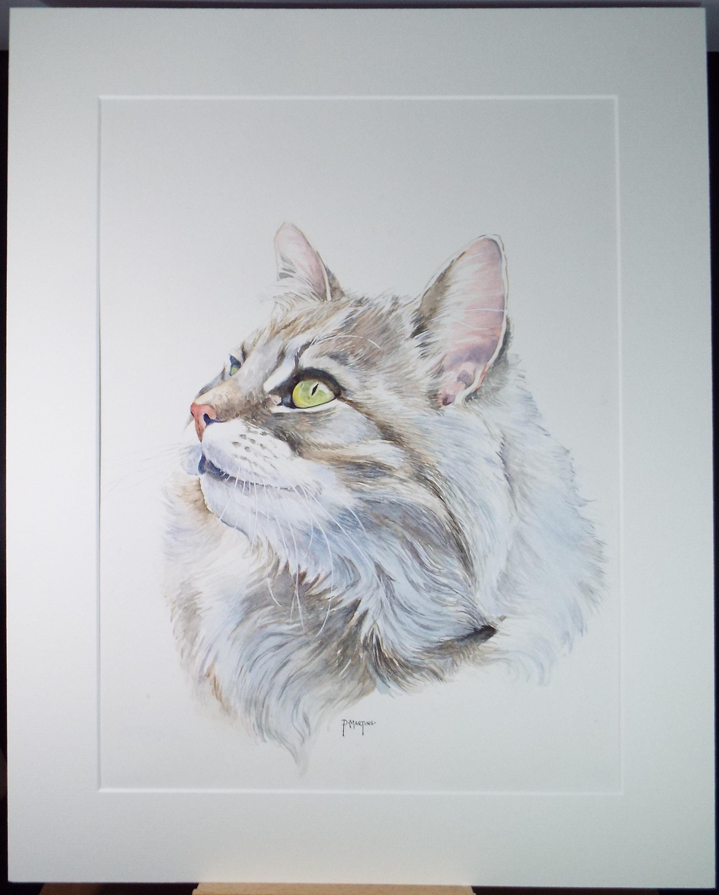 Original Watercolour, 'Sophie - Portrait of a cat',P Martins s.o.f.a, Circa 1990's