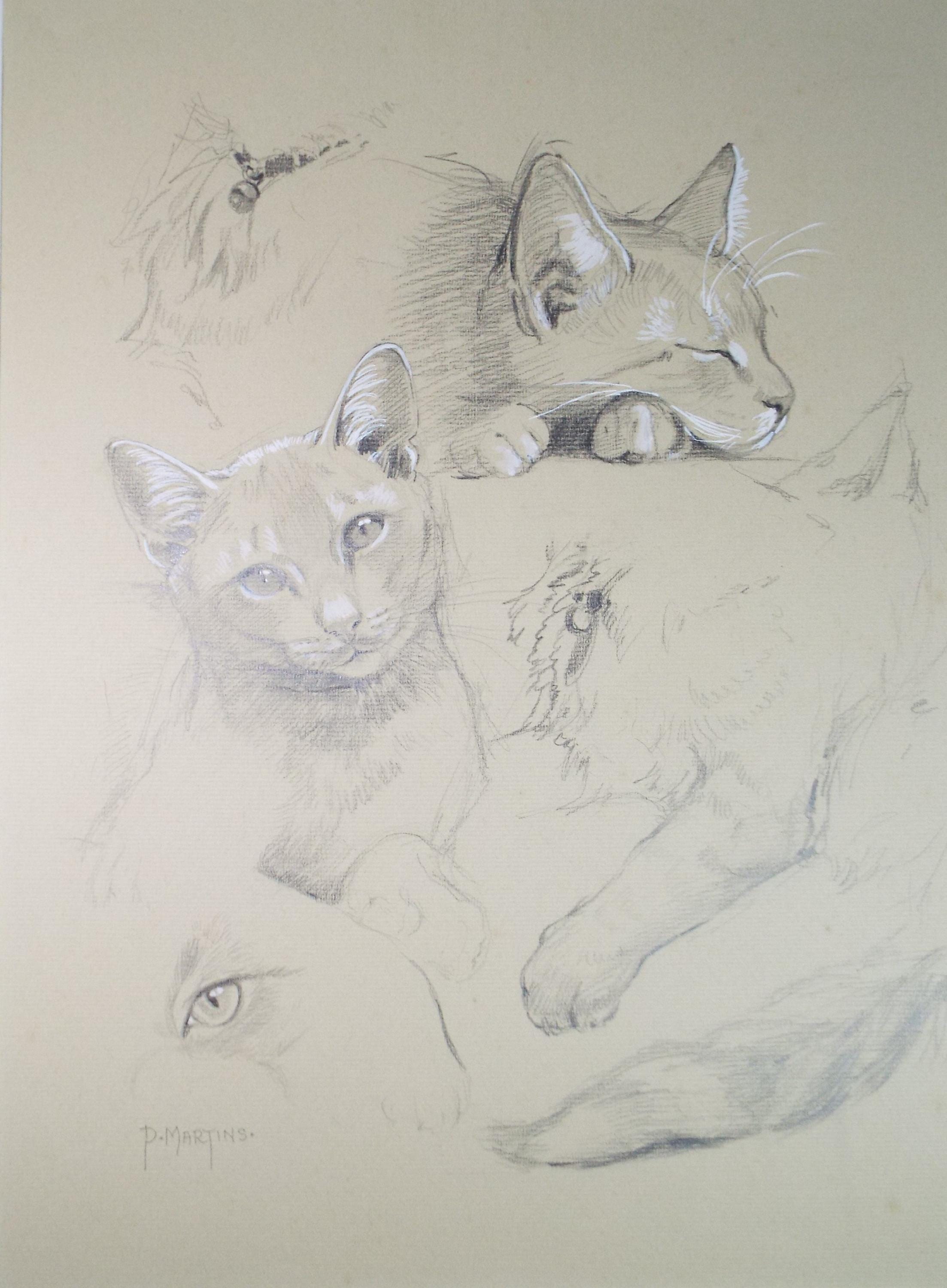 Original Pencil with white , 'A Study of Cats',P Martins s.o.f.a, Circa 1990's