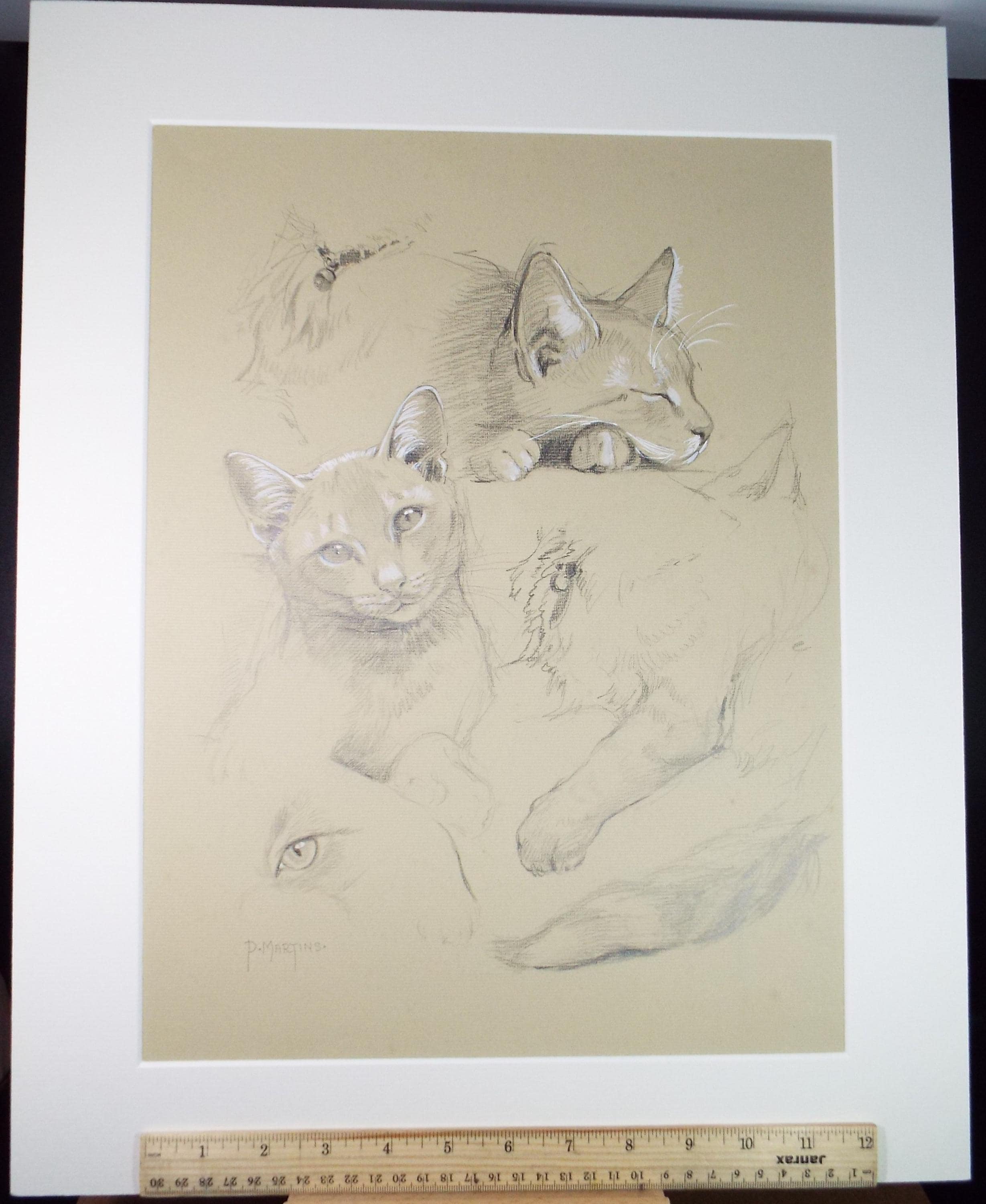 Original Pencil with white , 'A Study of Cats',P Martins s.o.f.a, Circa 1990's