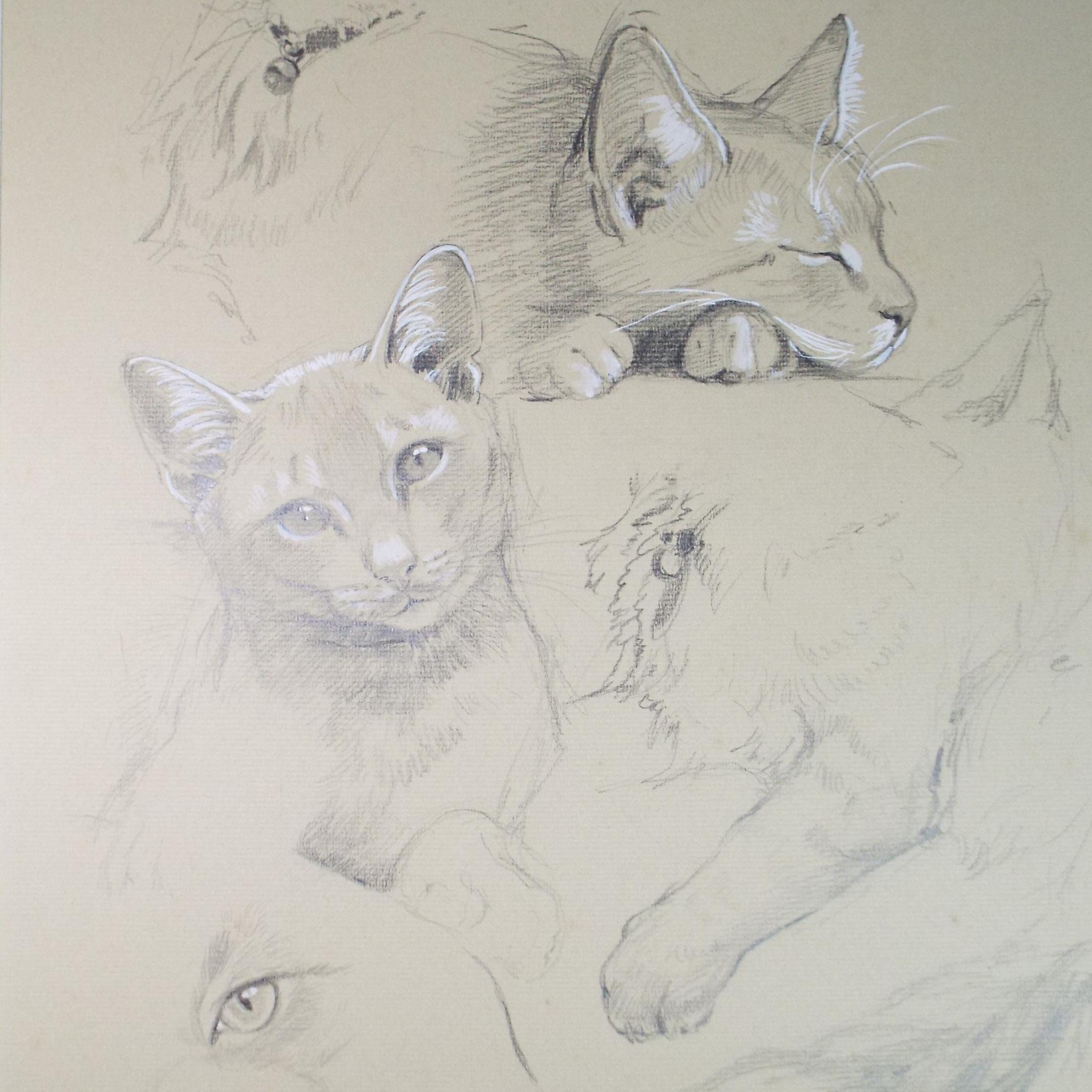 Original Pencil with white , 'A Study of Cats',P Martins s.o.f.a, Circa 1990's