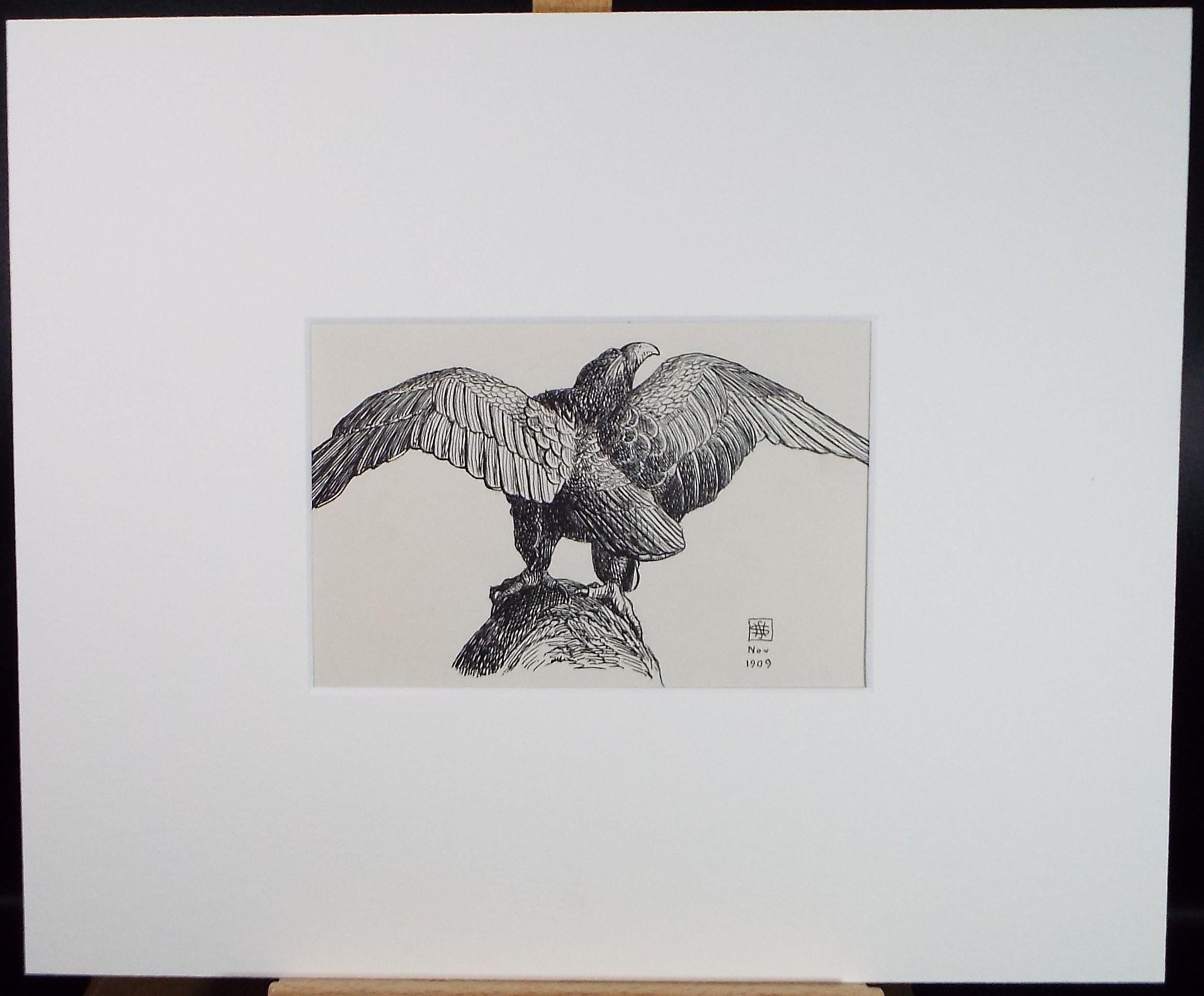 Original Pen & ink Sketch, 'Spread Eagle', S A Southern, Dated 1909