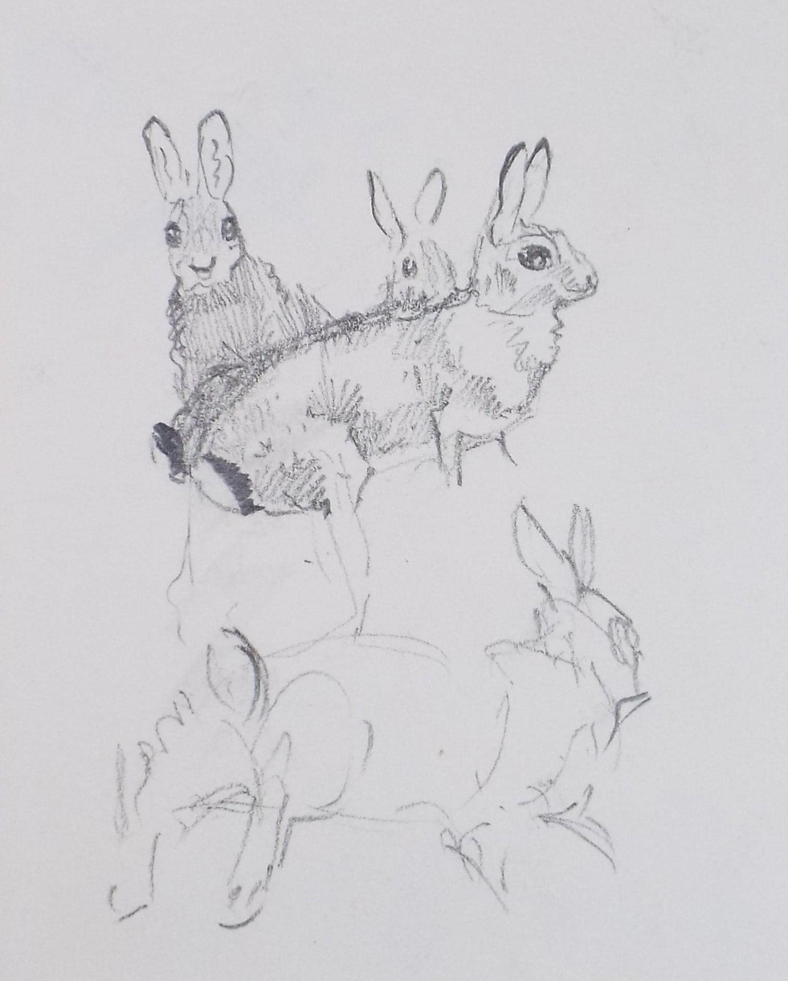 Original Pencil Sketch, 'Rabit Study', Michael Lyne (1912-1989), Mid 20th Century