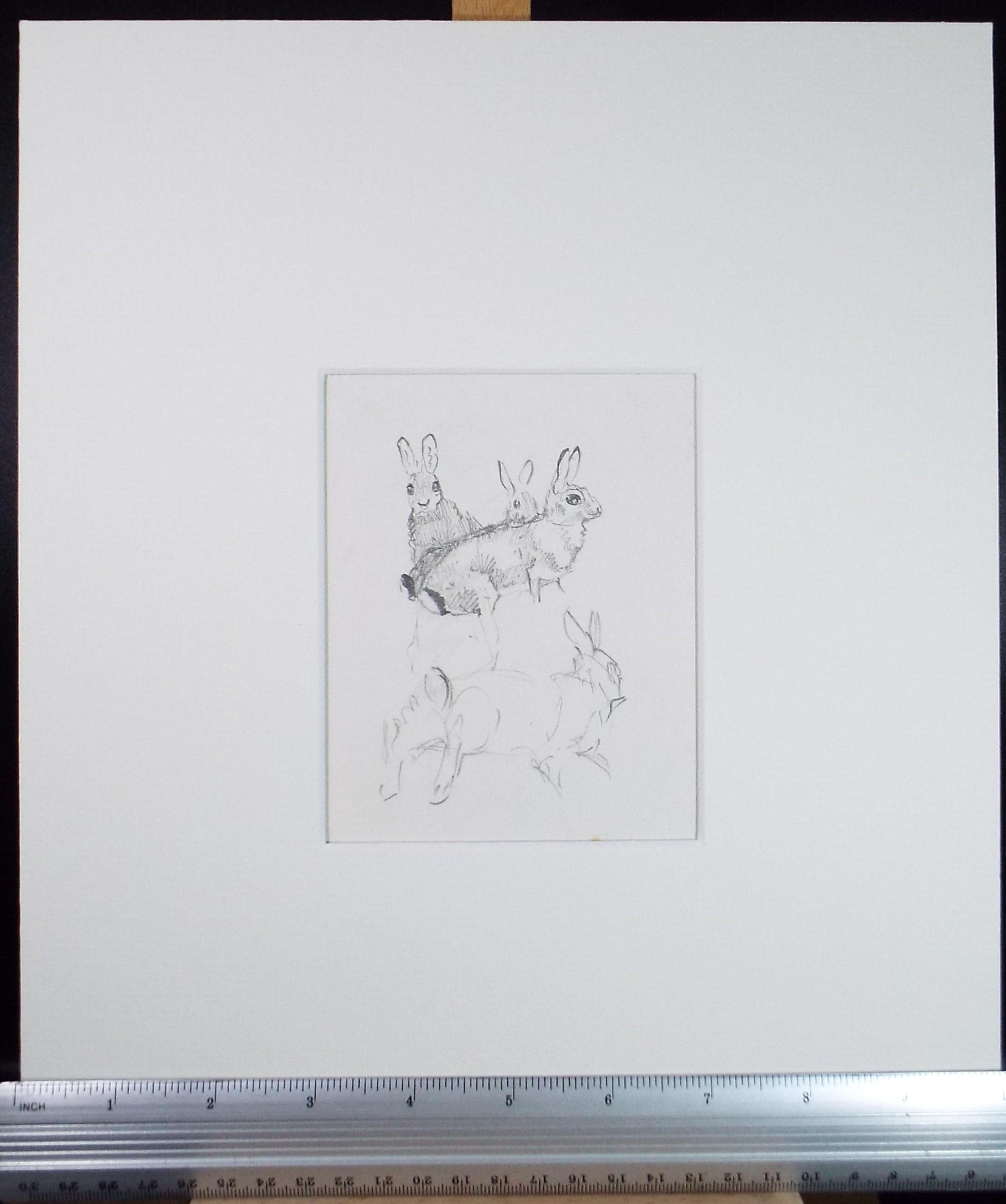 Original Pencil Sketch, 'Rabit Study', Michael Lyne (1912-1989), Mid 20th Century