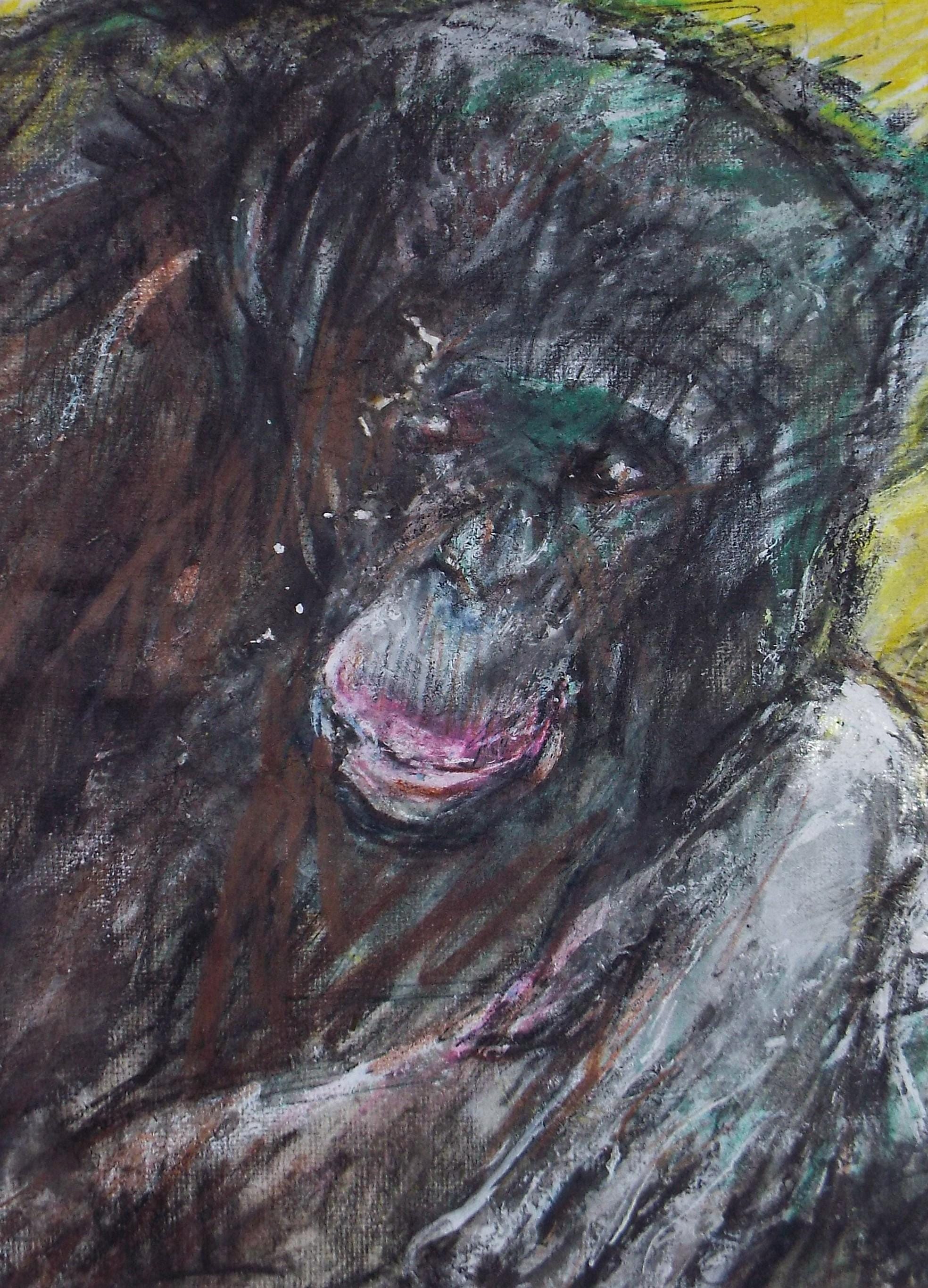 Original mixed media,'Chimpanzee', circa 1990's, John Gilbey Bowles (1929-2011)