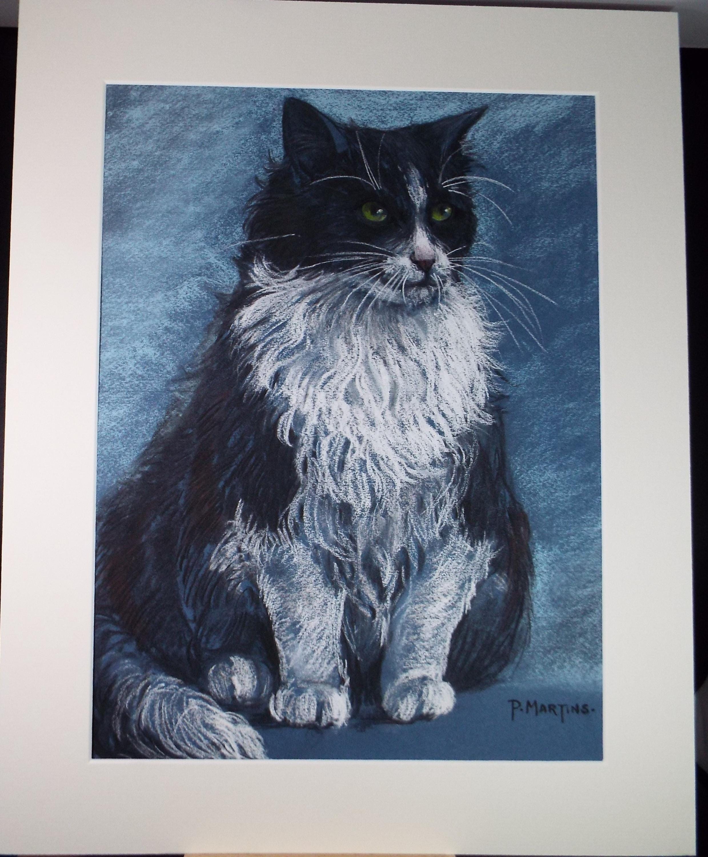 Original Pastel, 'Black & White Cat',P Martins s.o.f.a, Circa 1990's