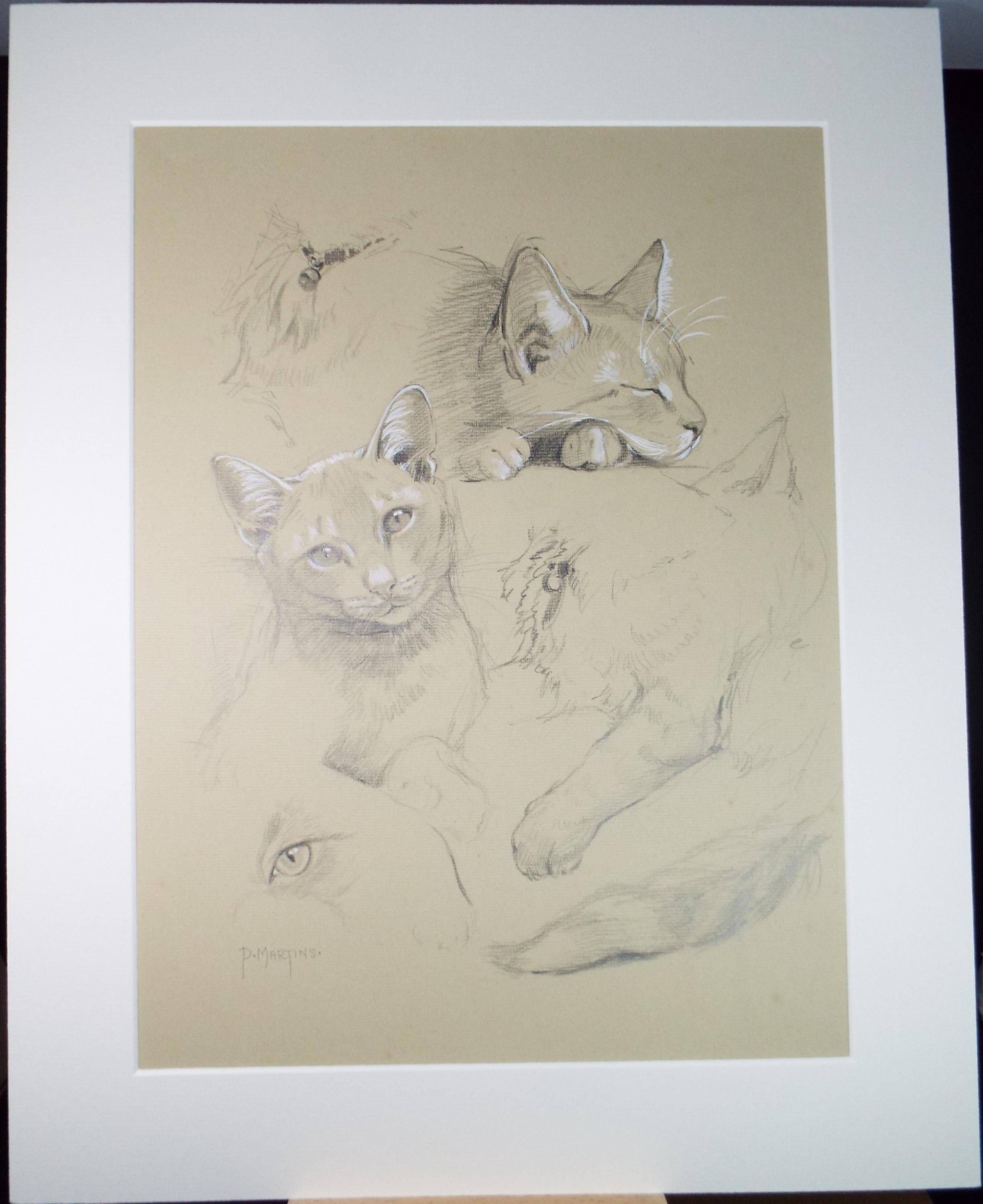 Original Pencil with white , 'A Study of Cats',P Martins s.o.f.a, Circa 1990's