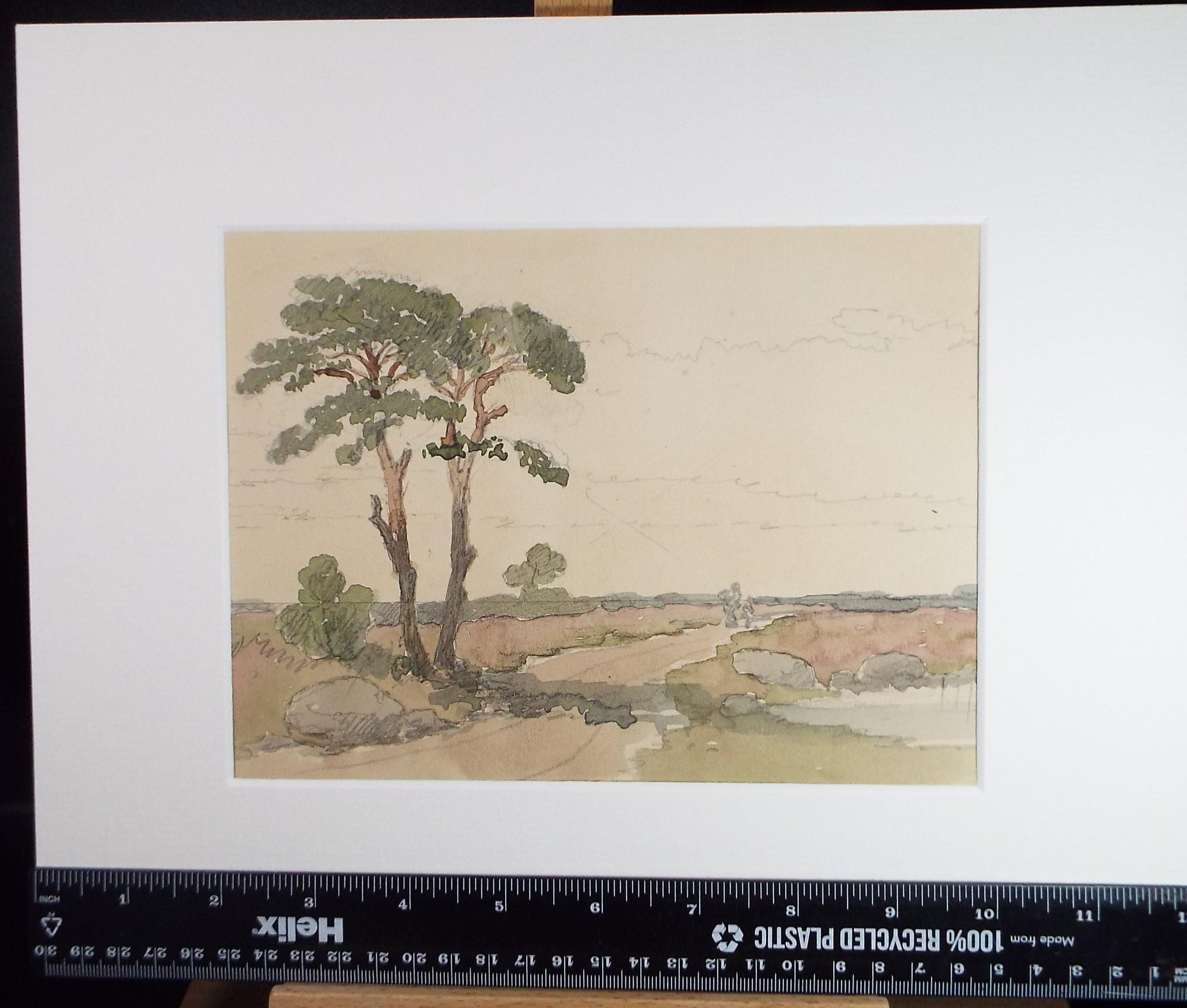 Original Watercolour Painting: Rural Track with Pine Trees, Circa 1920's
