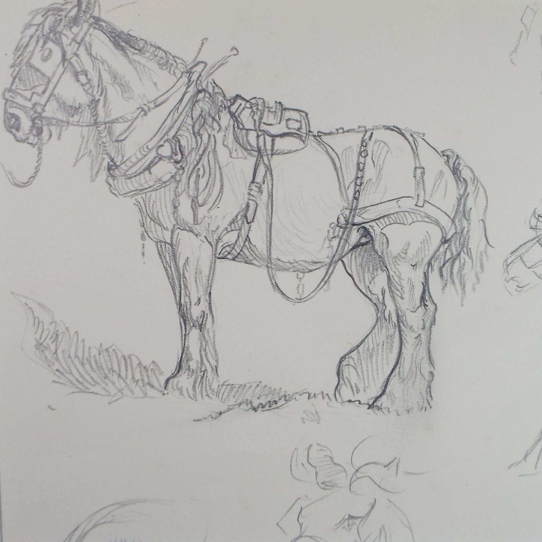 Original Pencil Sketch,'Study of a Heavy horse', Helen Collins (1921-1990), circa 1938/9