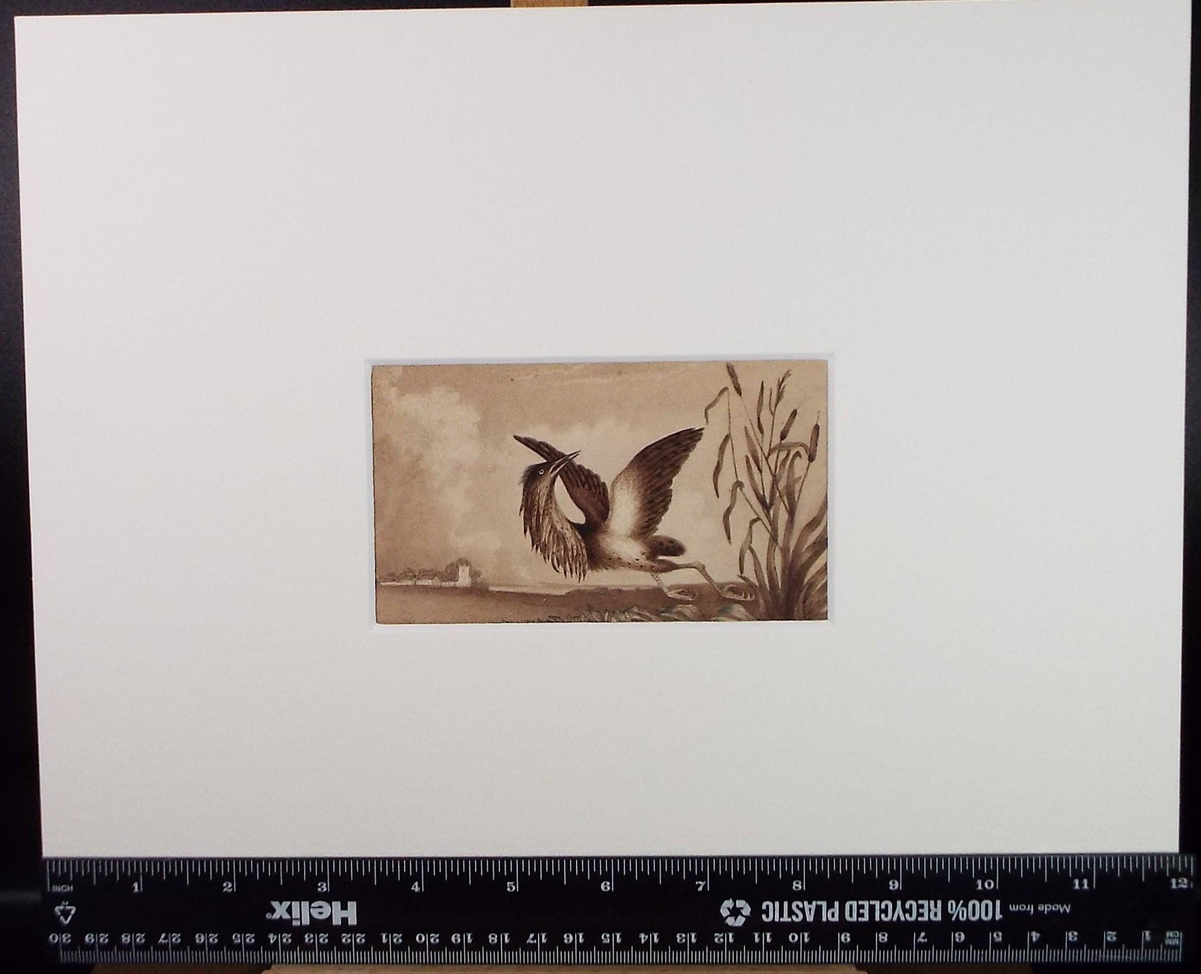 Original watercolour, 'Heron on the wing', Dated 1837, Artist Unknown