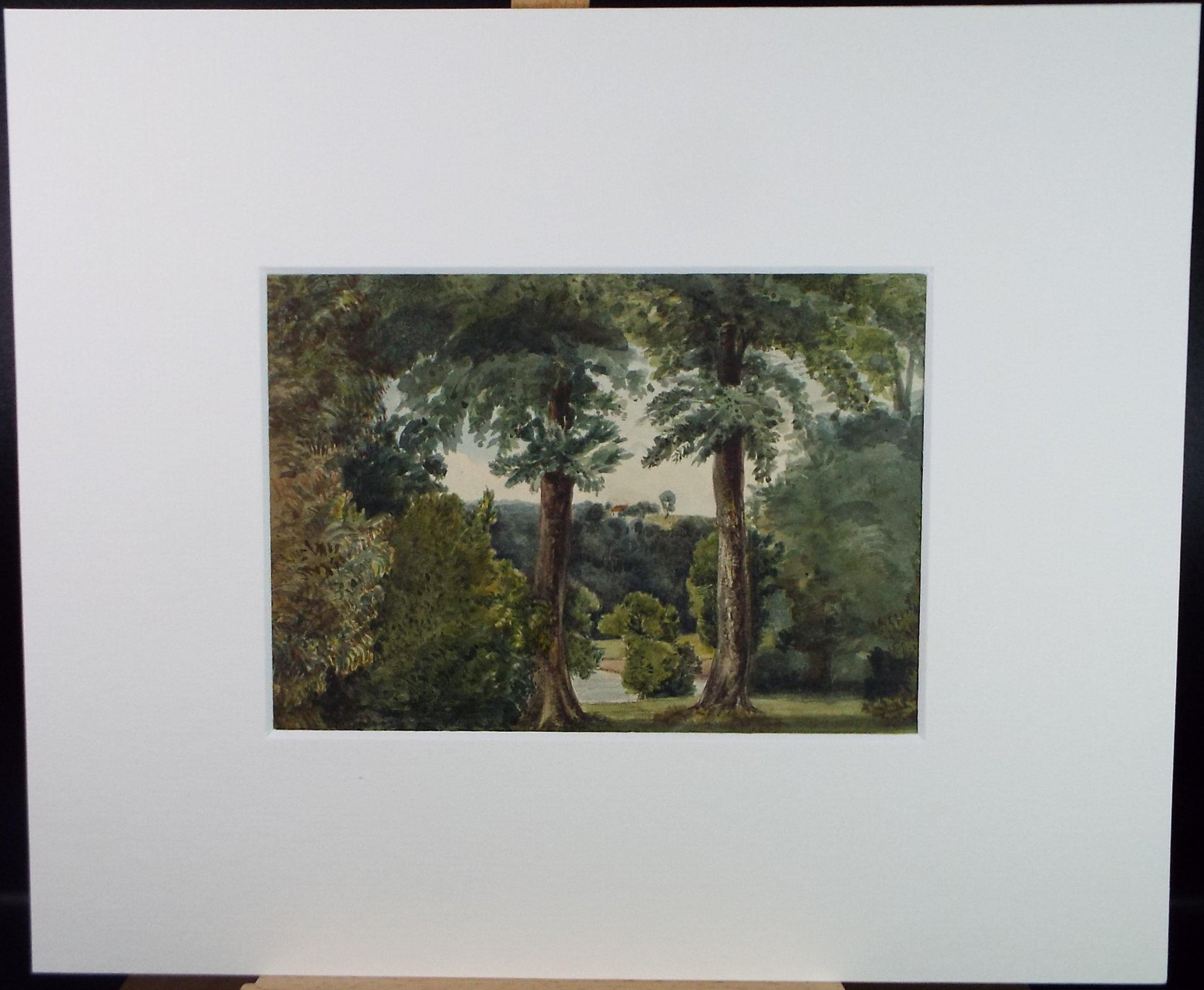 Original Watercolour drawing, 'Trees in a Landscape', Late 19th Century