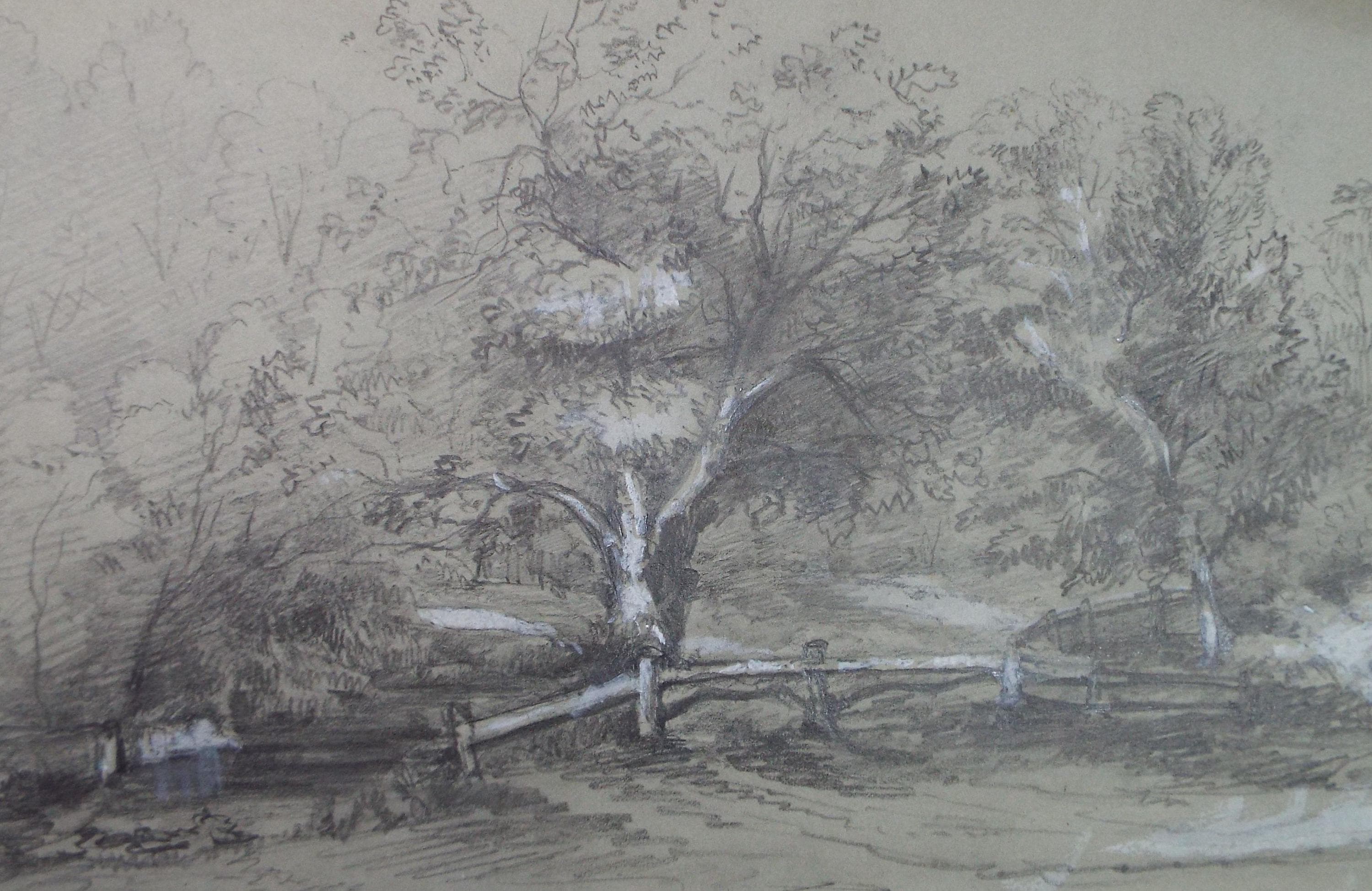 Original Pencil drawing with white, 'Field Boundary with Trees', late 19th century, artist unknown
