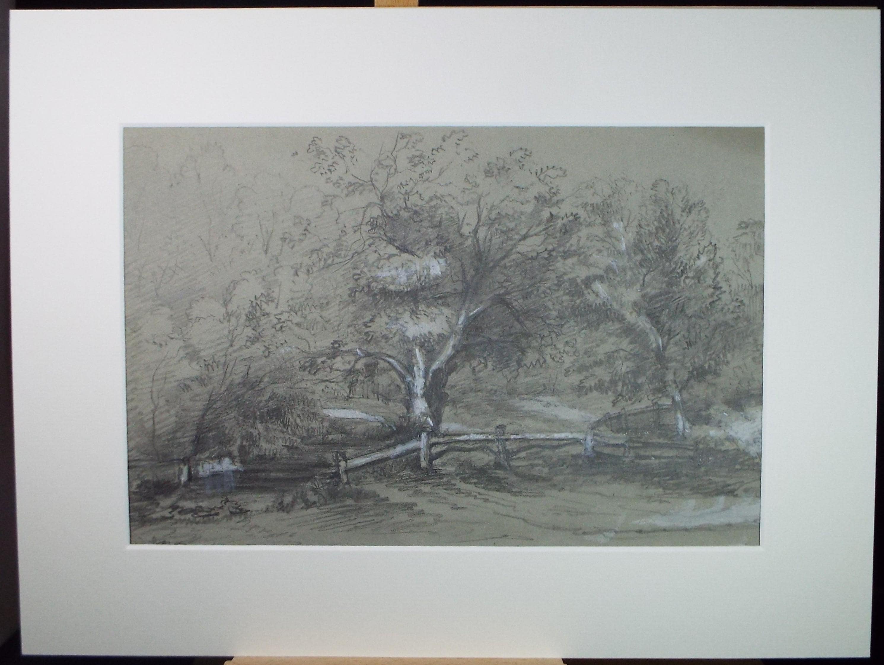 Original Pencil drawing with white, 'Field Boundary with Trees', late 19th century, artist unknown