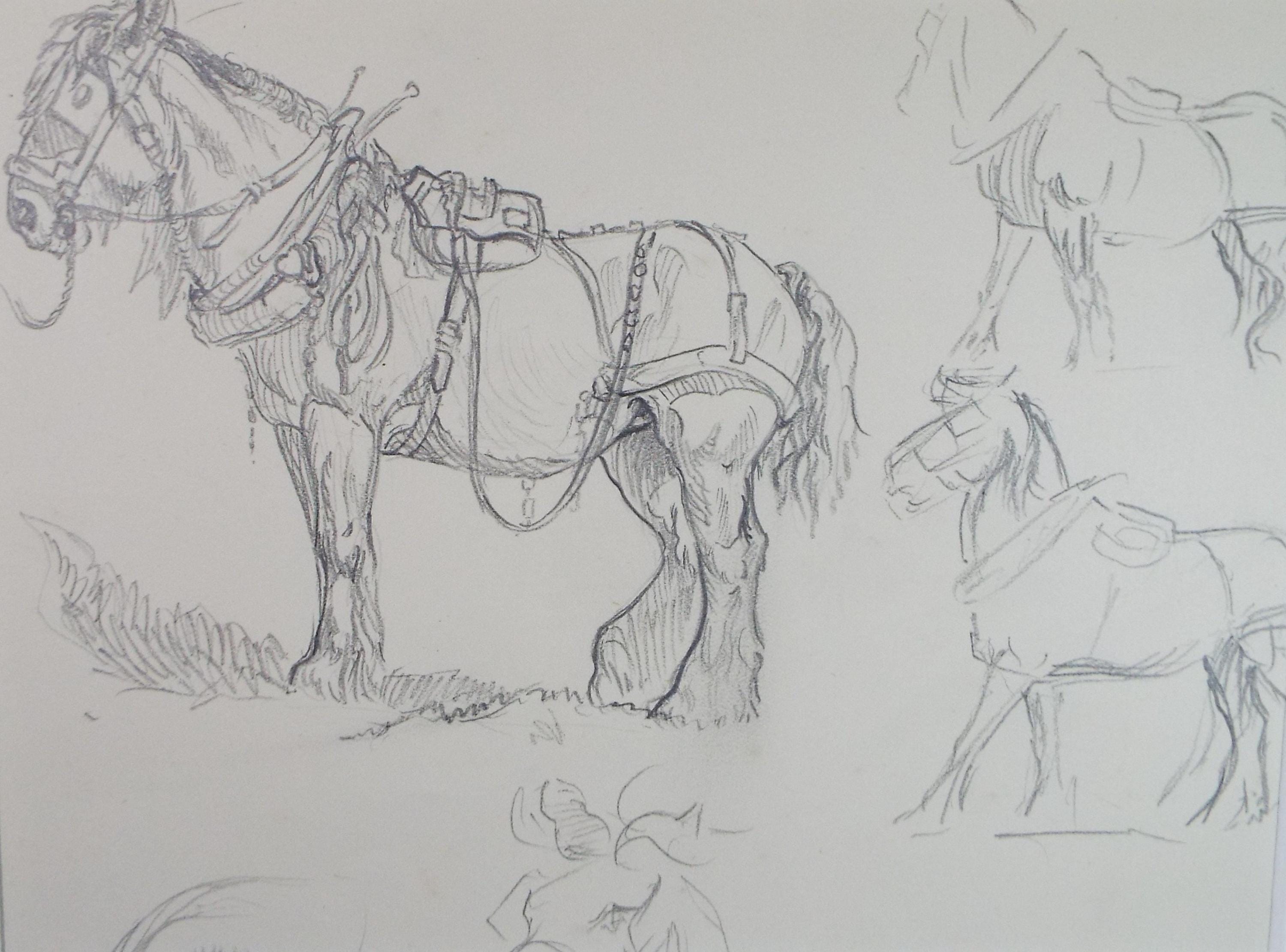 Original Pencil Sketch,'Study of a Heavy horse', Helen Collins (1921-1990), circa 1938/9
