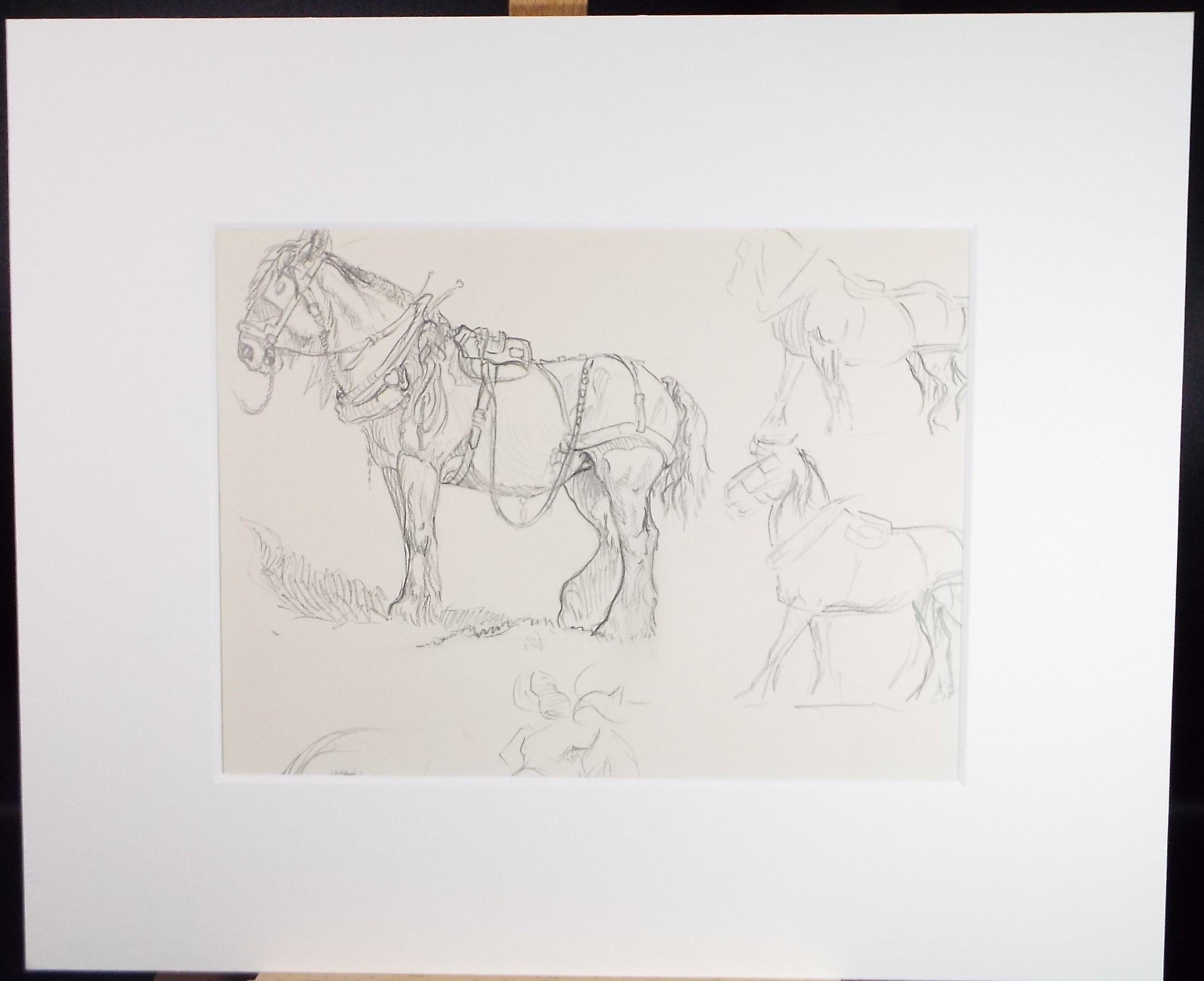 Original Pencil Sketch,'Study of a Heavy horse', Helen Collins (1921-1990), circa 1938/9