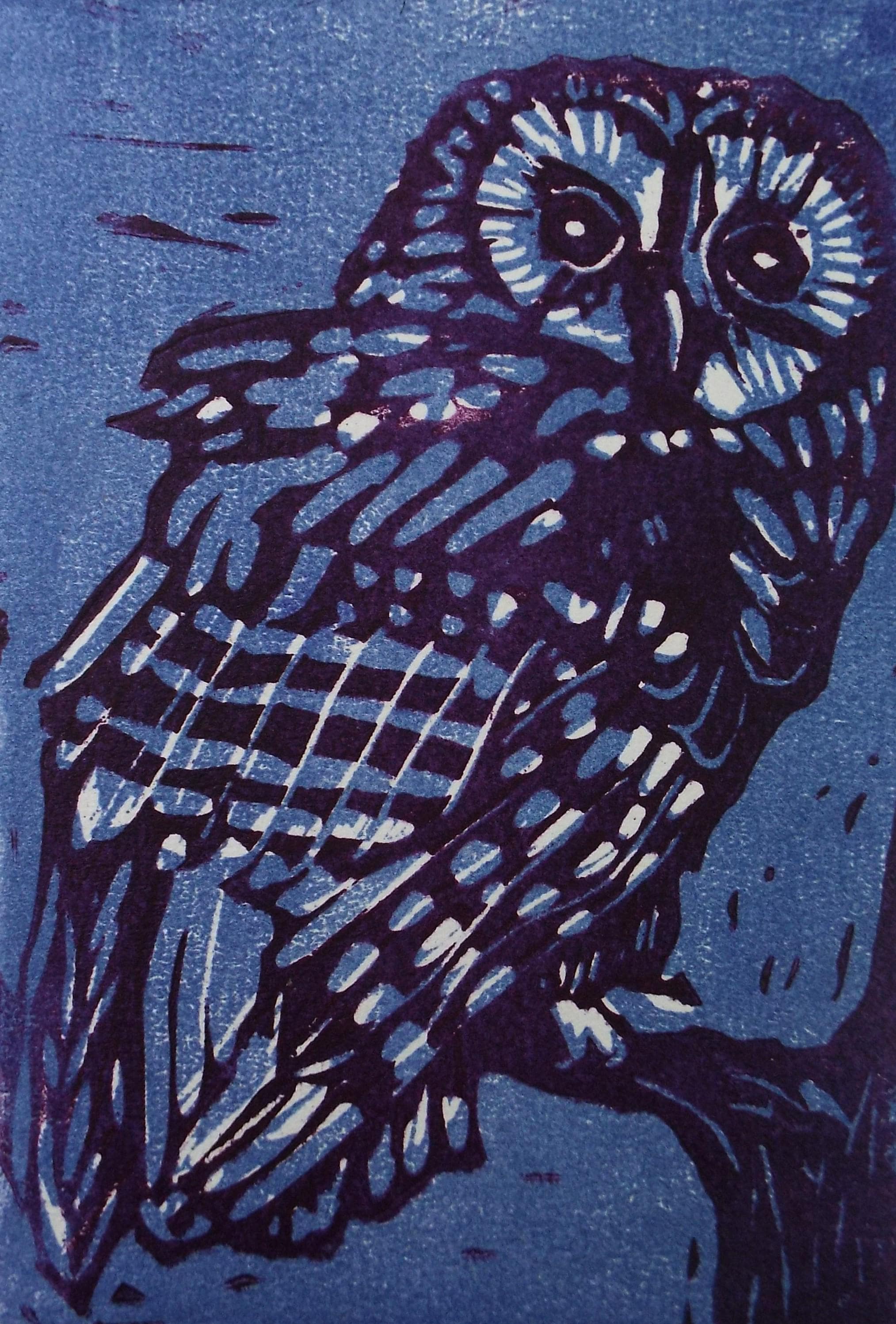 Limited Edition Lithograph, 'Little Owl', Dorothy Litherland, signed and numbered