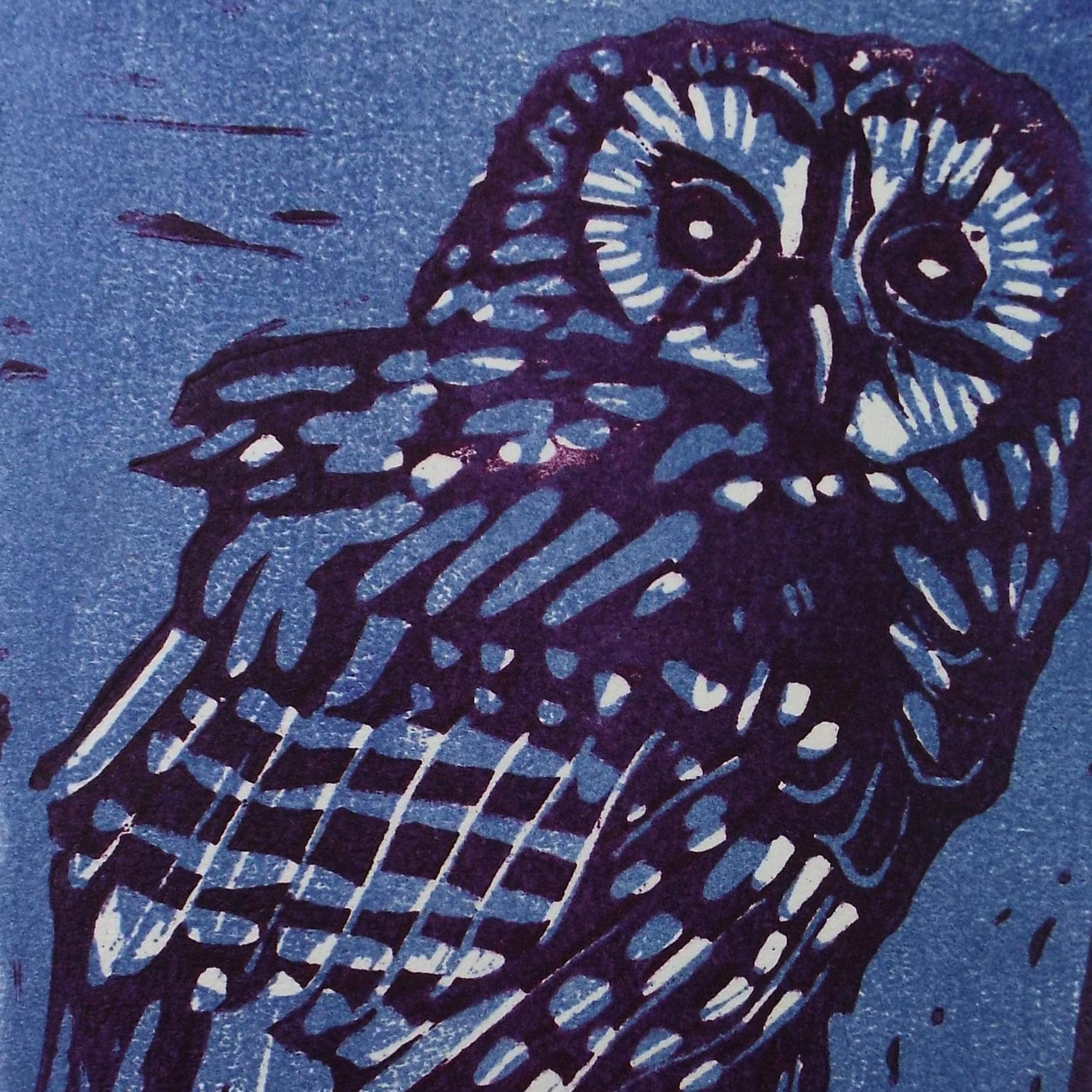 Limited Edition Lithograph, 'Little Owl', Dorothy Litherland, signed and numbered