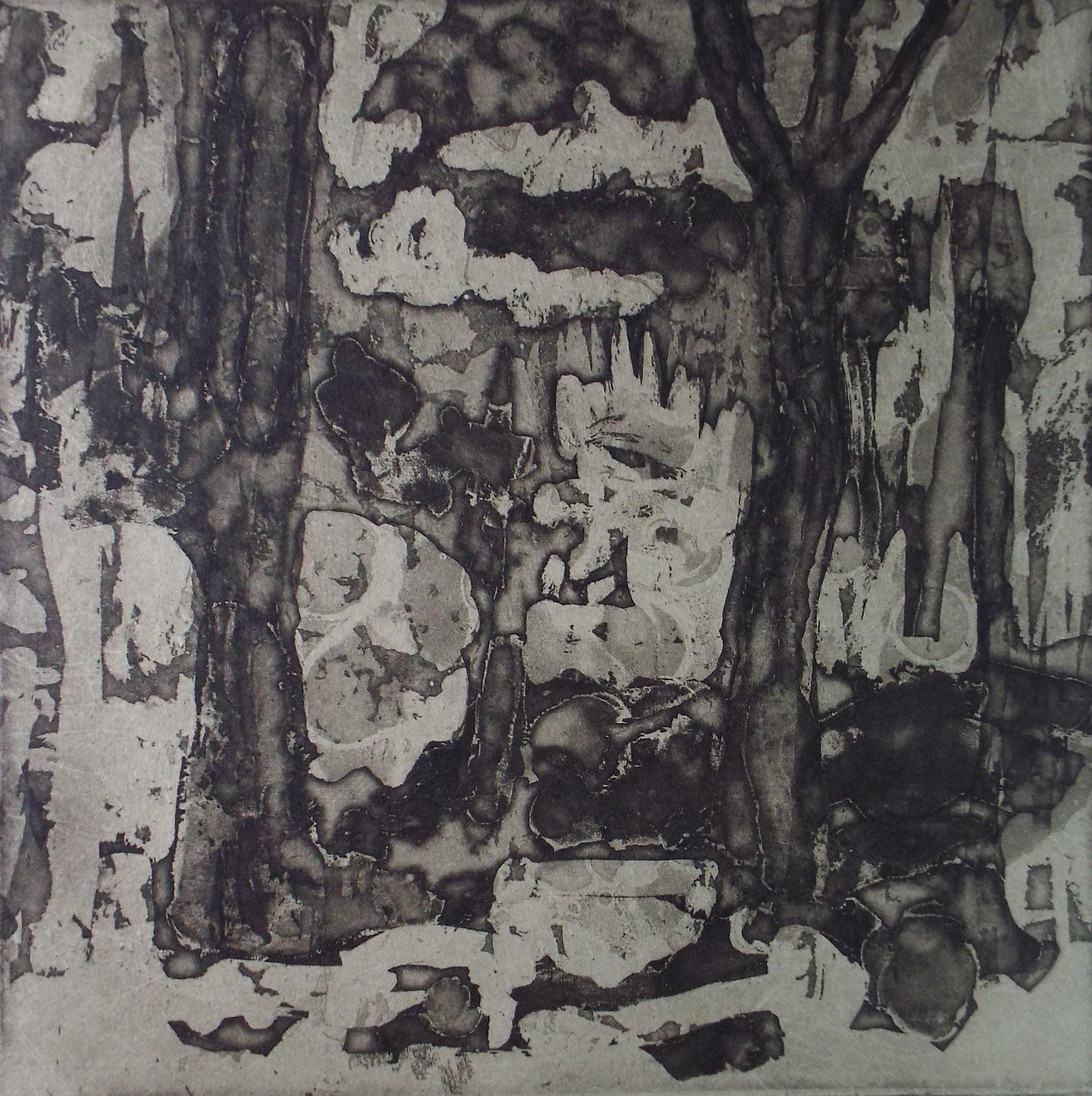Limited Edition Etching 'Ombre et Lumiere', Dorothy Litherland, signed and numbered
