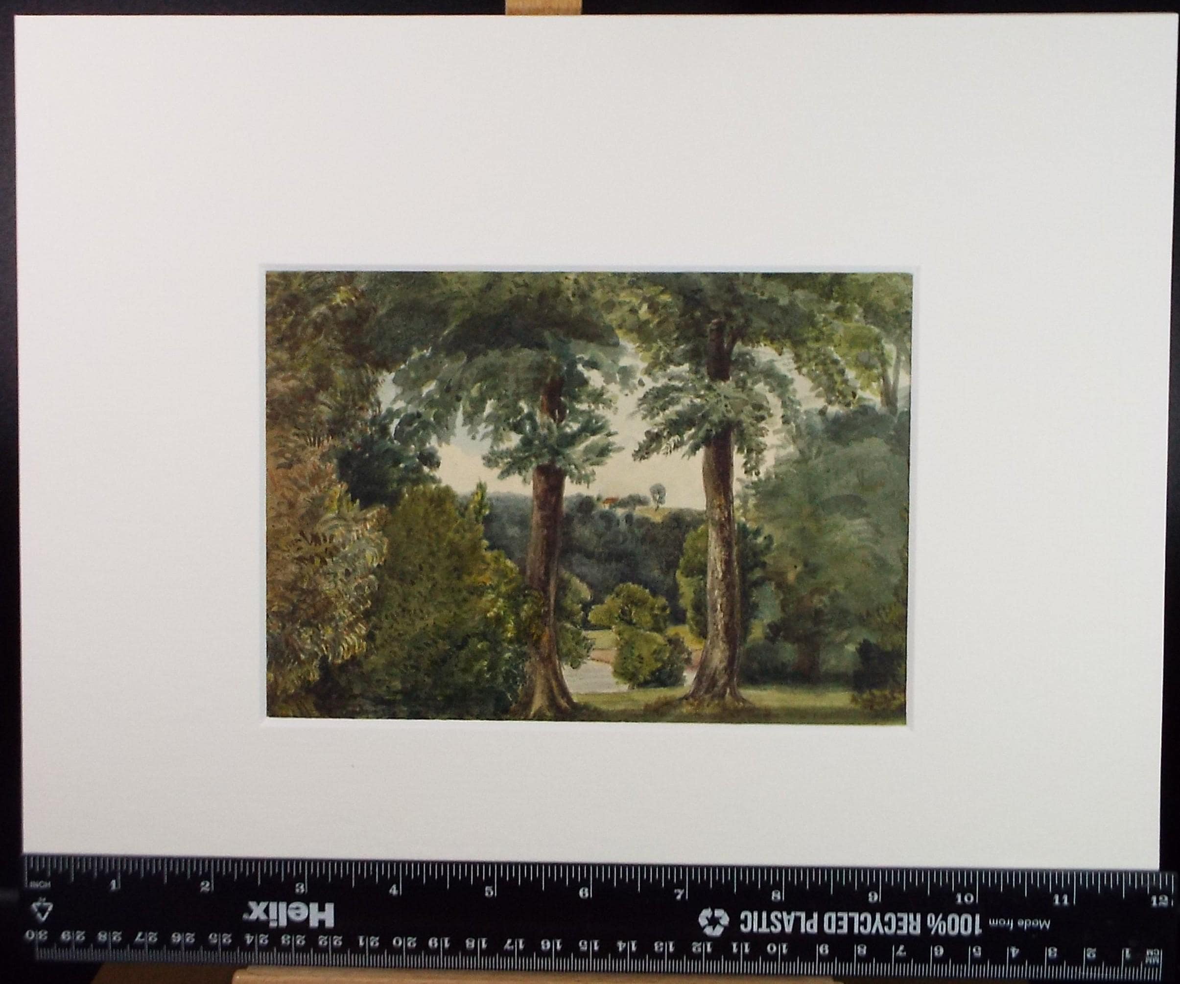 Original Watercolour drawing, 'Trees in a Landscape', Late 19th Century