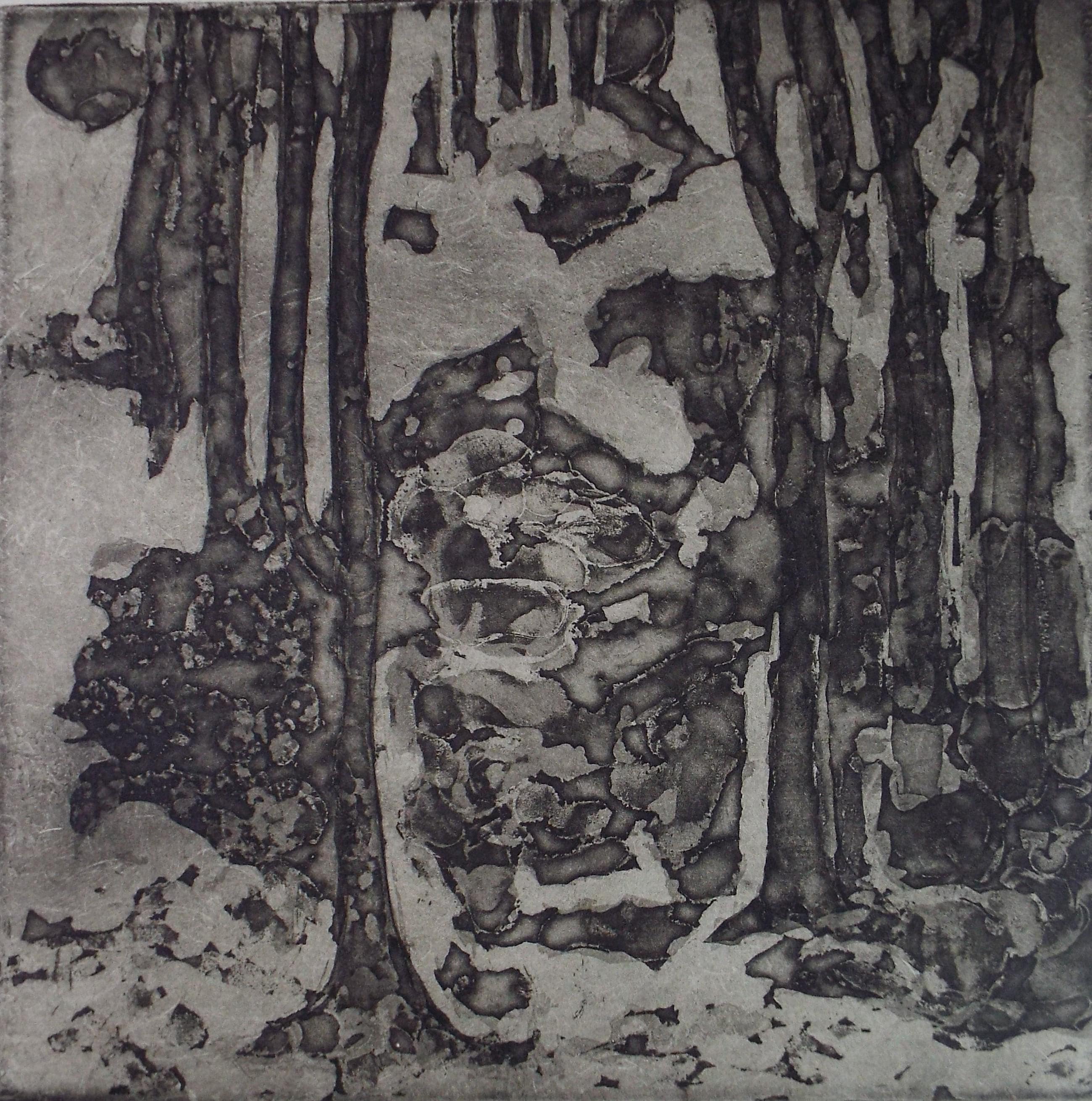 Limited Edition Etching 'Le Bois', Dorothy Litherland, signed and numbered
