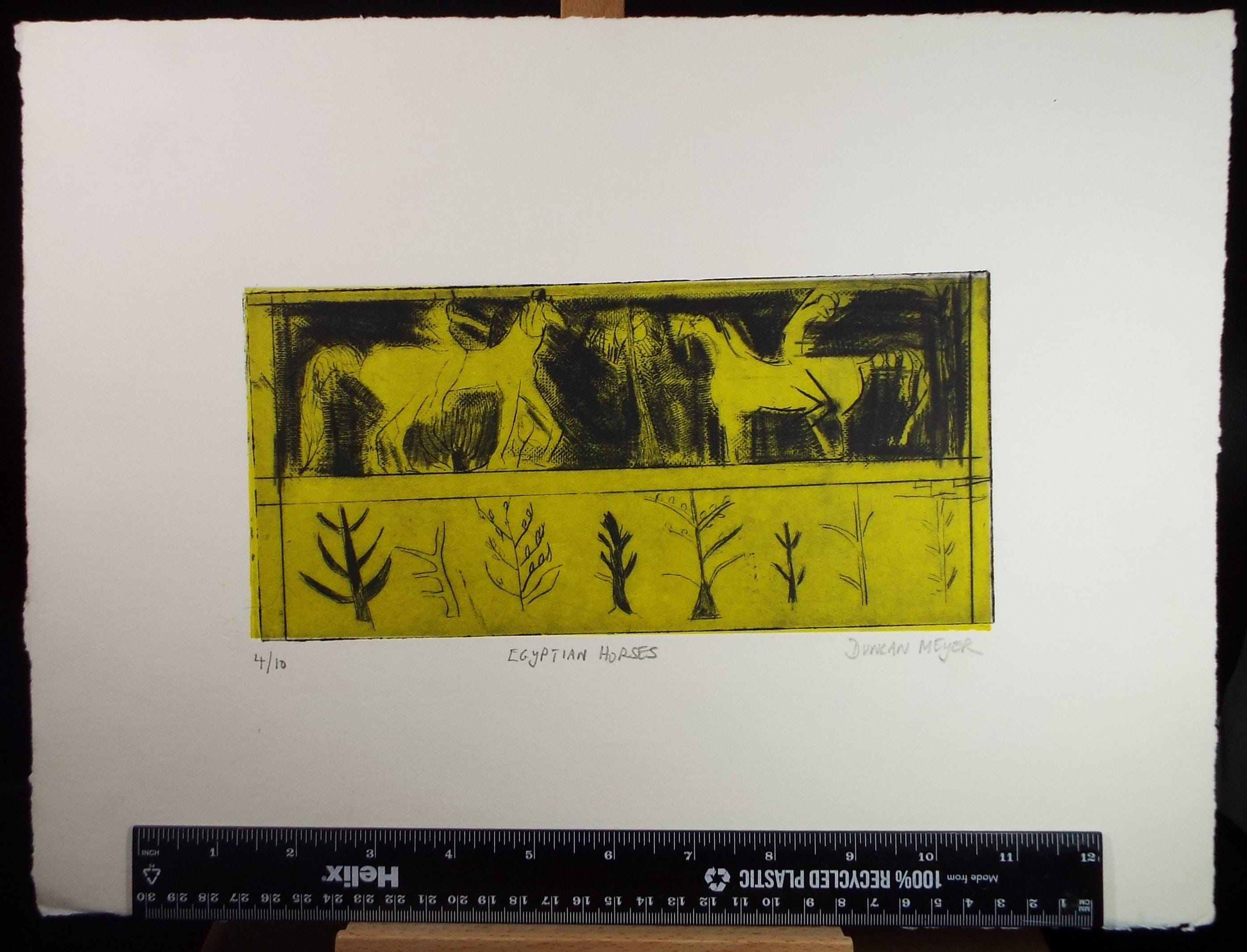 Limited Edition Etching 'Egyptian Horses', Elizabeth Duncan Meyer (b1942), signed and numbered