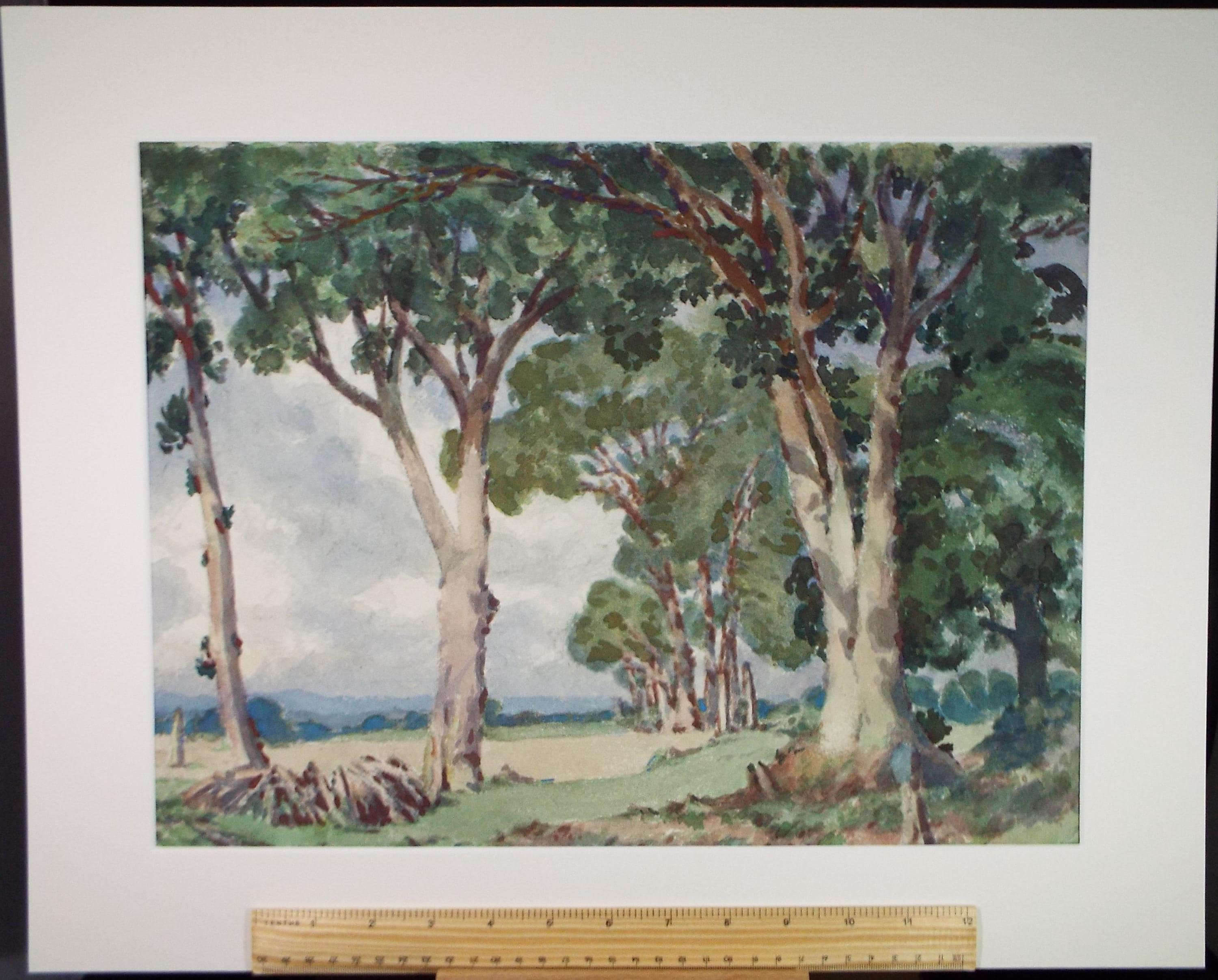 Original Watercolour, 'Trees on a field margin', Henry Potter Stevens (1875-1965), Dated 1959