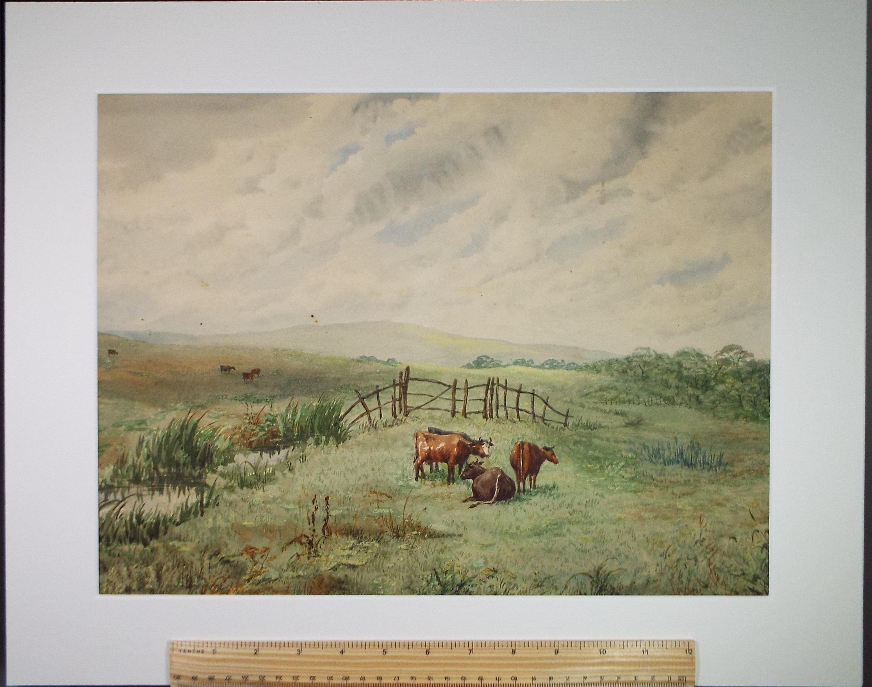 Original Watercolour, 'Cattle in a landscape',Early 20th Century, Unknown Artist
