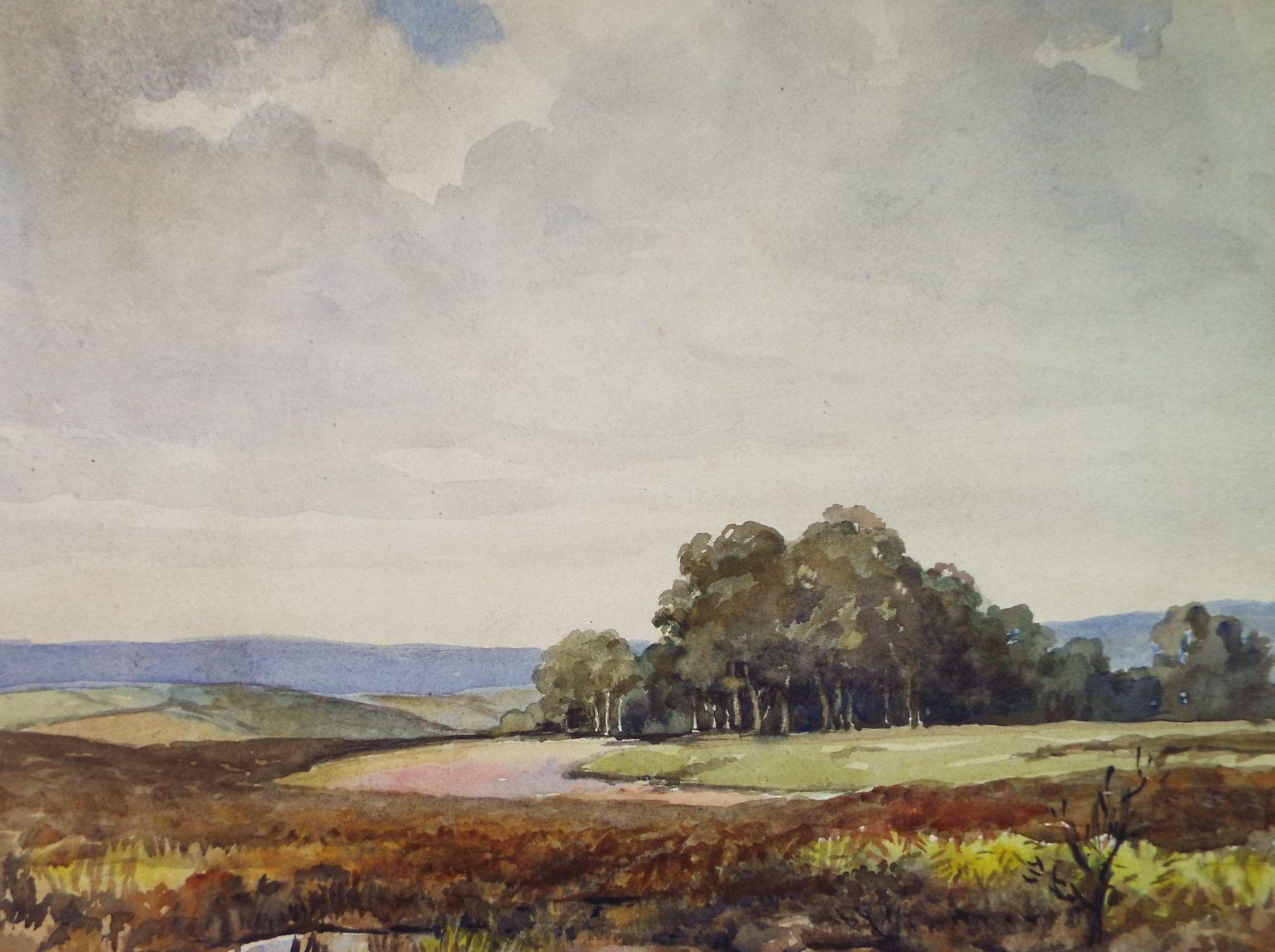 Original Watercolour, 'Woodland in a Landscape', Circa 1950's, Artist Unknown