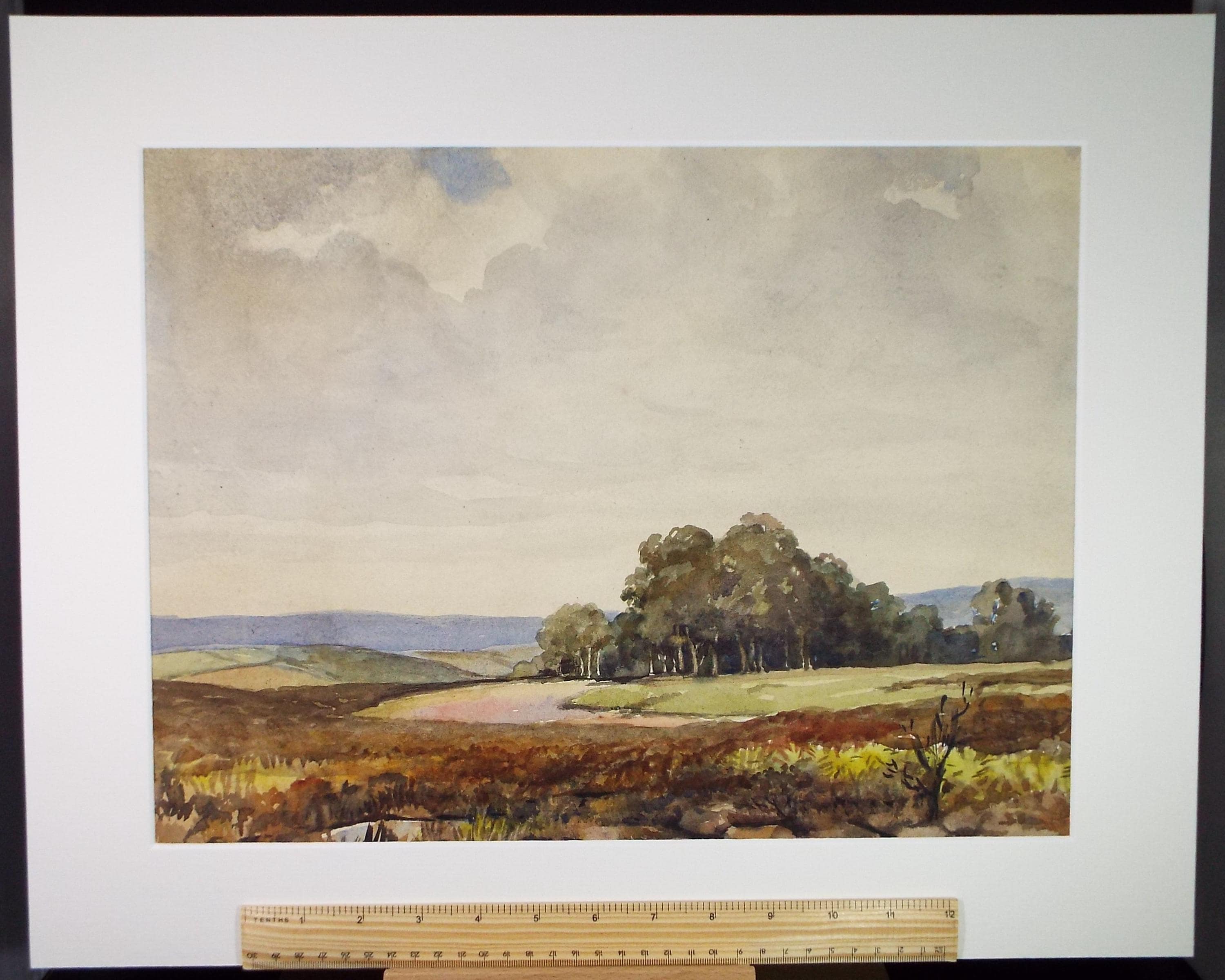 Original Watercolour, 'Woodland in a Landscape', Circa 1950's, Artist Unknown
