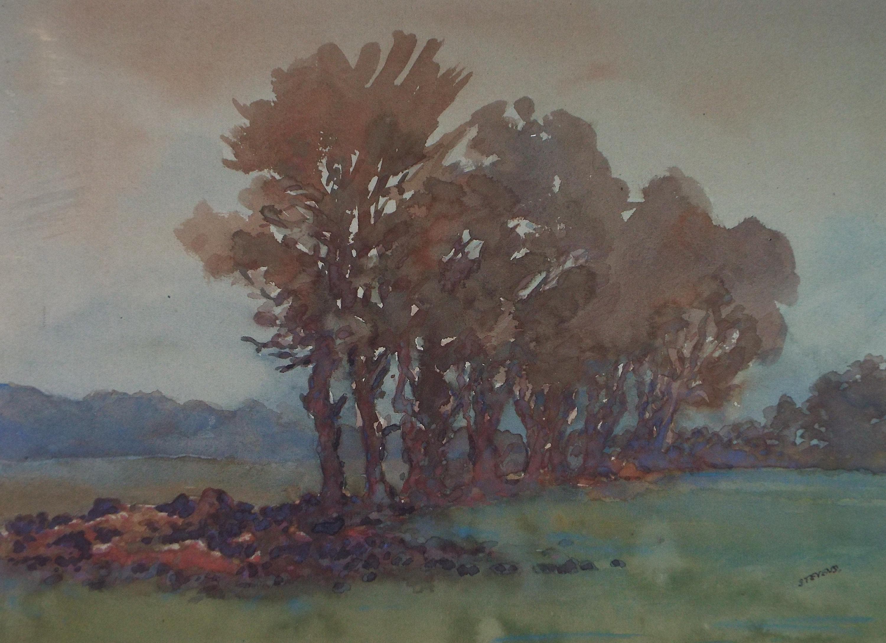 Original Watercolour, 'Trees in late Autumn', Henry Potter Stevens (1875-1965), Circa 1940's
