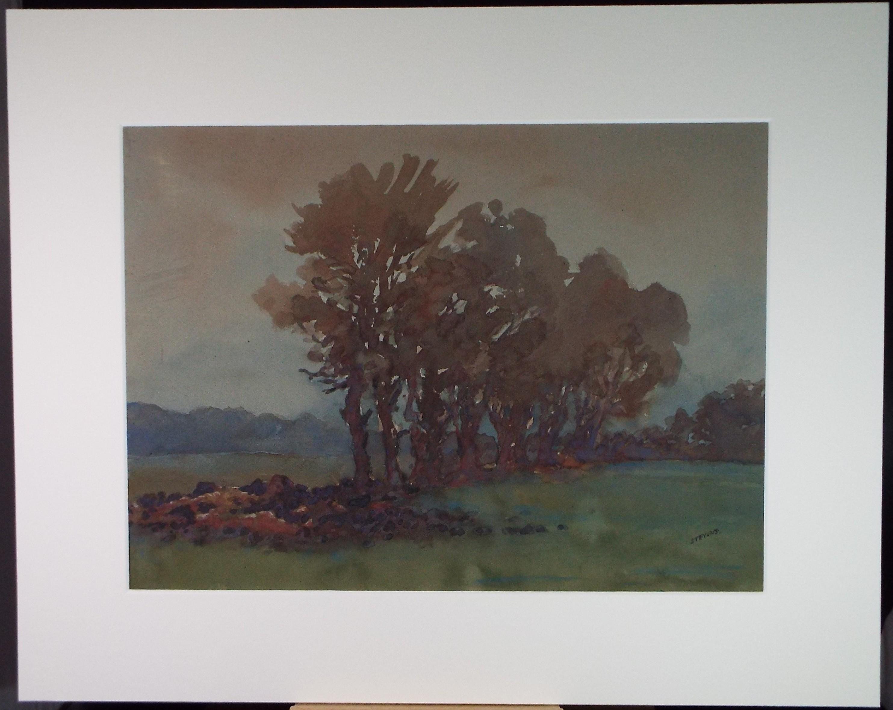 Original Watercolour, 'Trees in late Autumn', Henry Potter Stevens (1875-1965), Circa 1940's