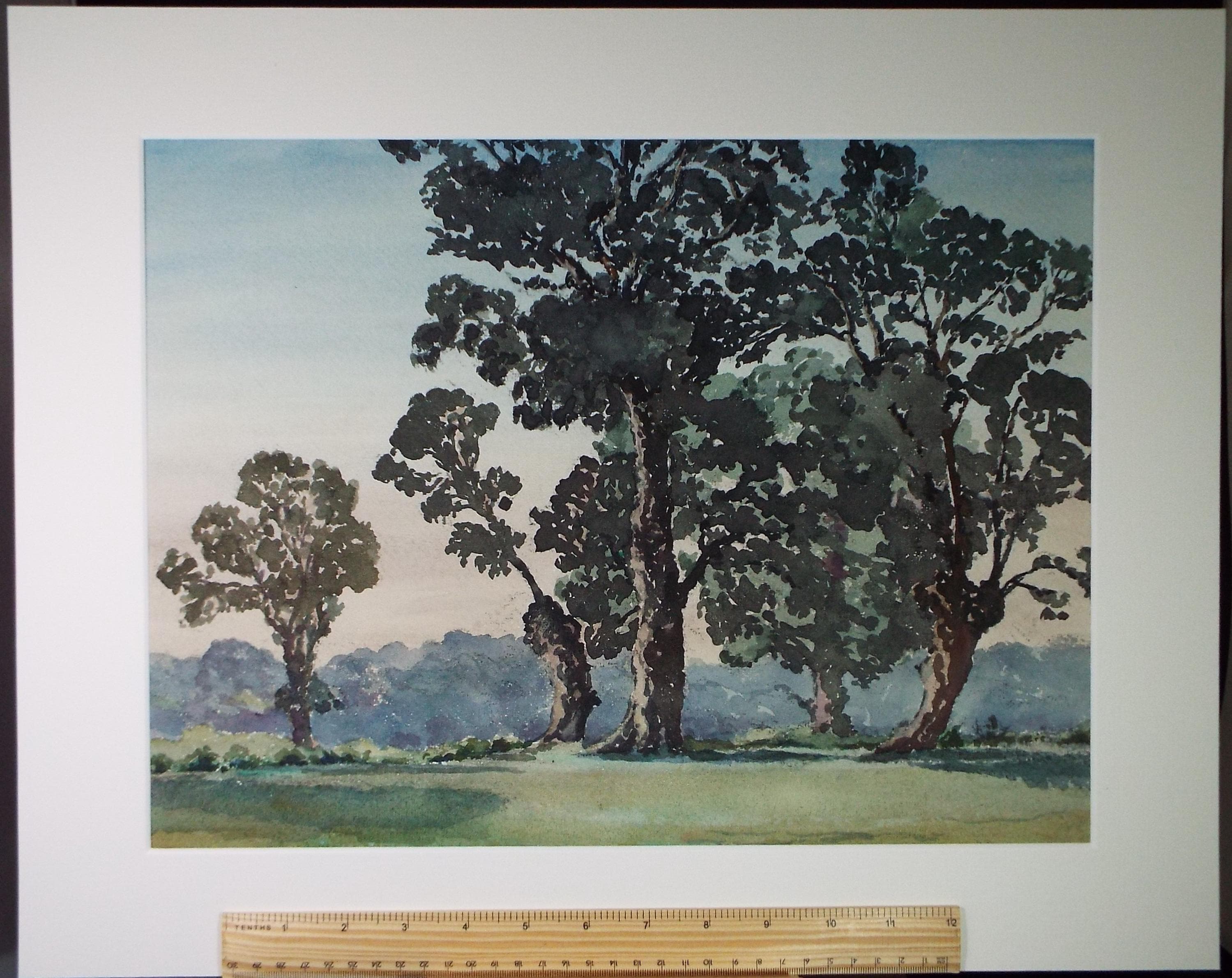 Original Watercolour, 'Trees in a Landscape', Henry Potter Stevens (1875-1965) Dated 1959