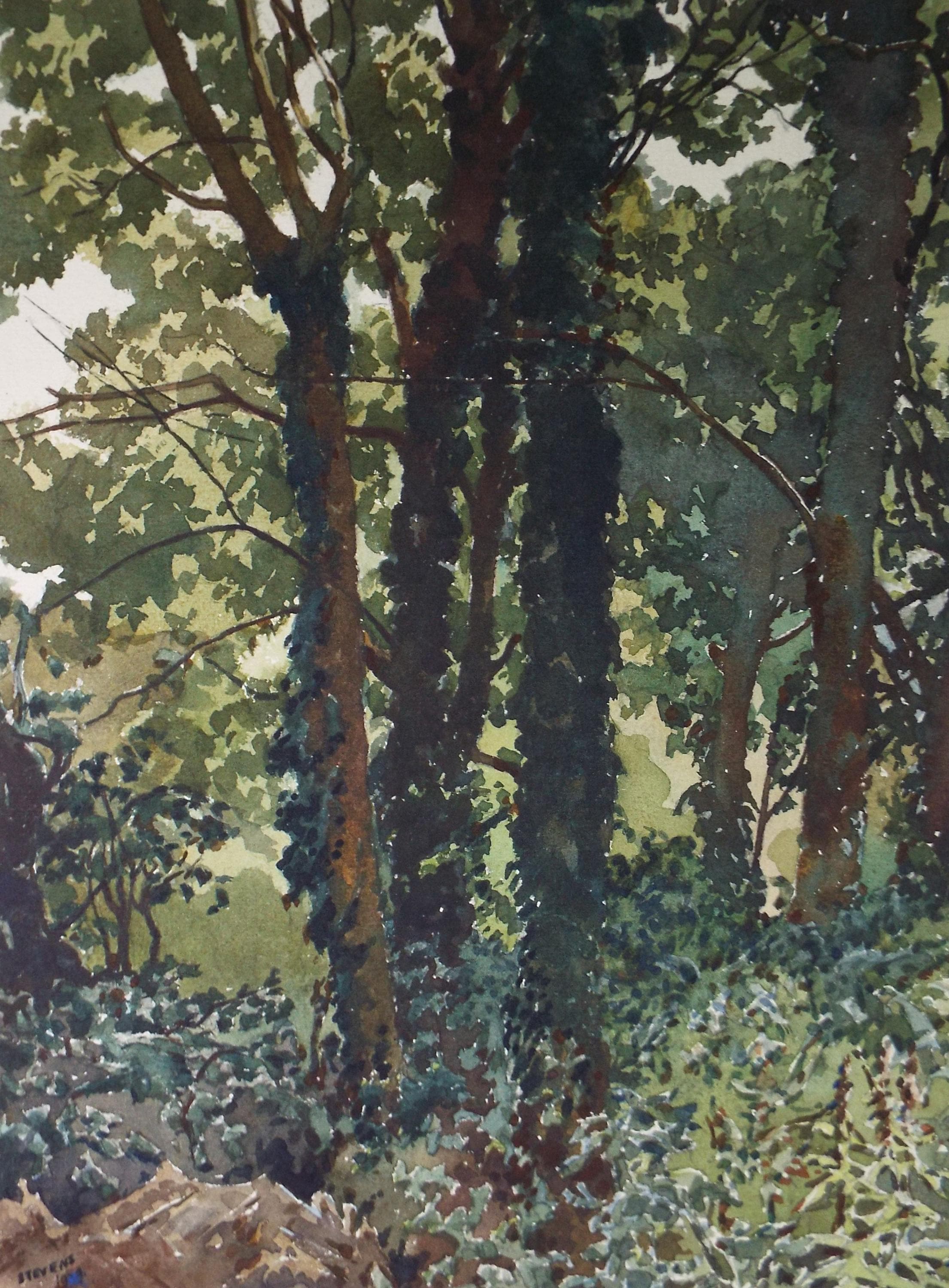 Original Watercolour, 'Study of Trees', Henry Potter Stevens (1875-1965) Dated 1959