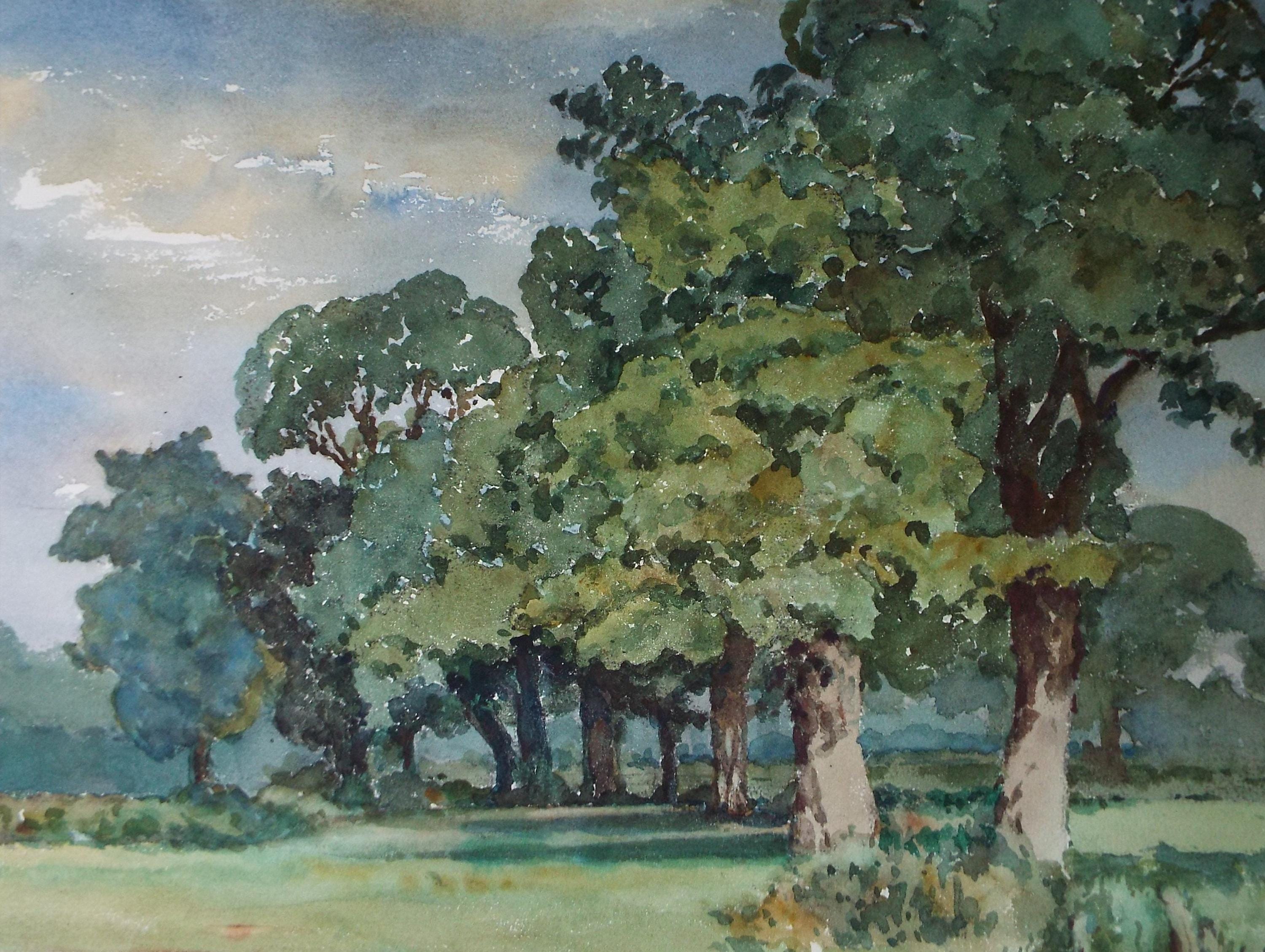 Original Watercolour, 'Adjoining fields', Henry Potter Stevens (1875-1965) Dated 1959