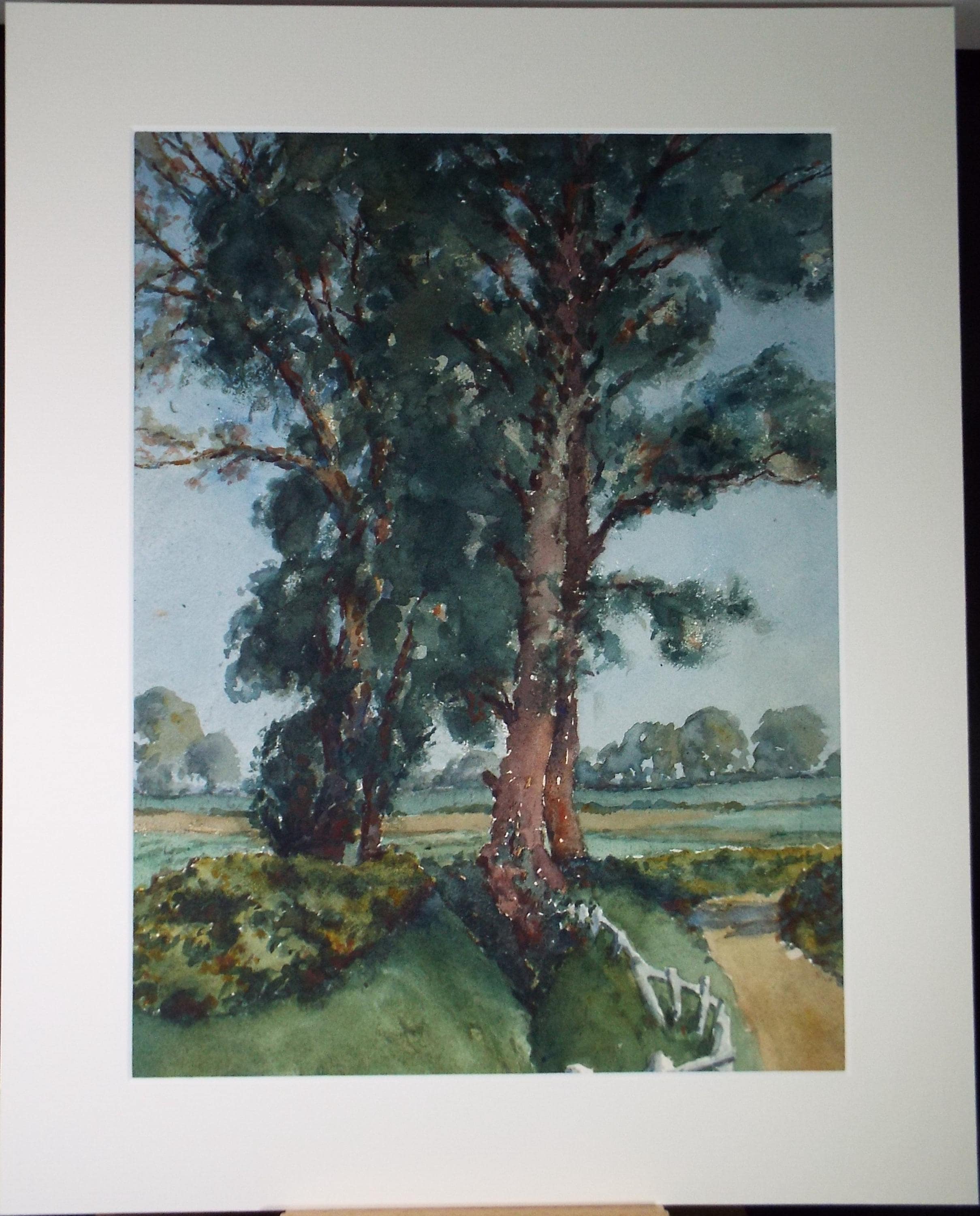 Original Watercolour, 'Tree Study', Henry Potter Stevens (1875-1965) Circa 1950's