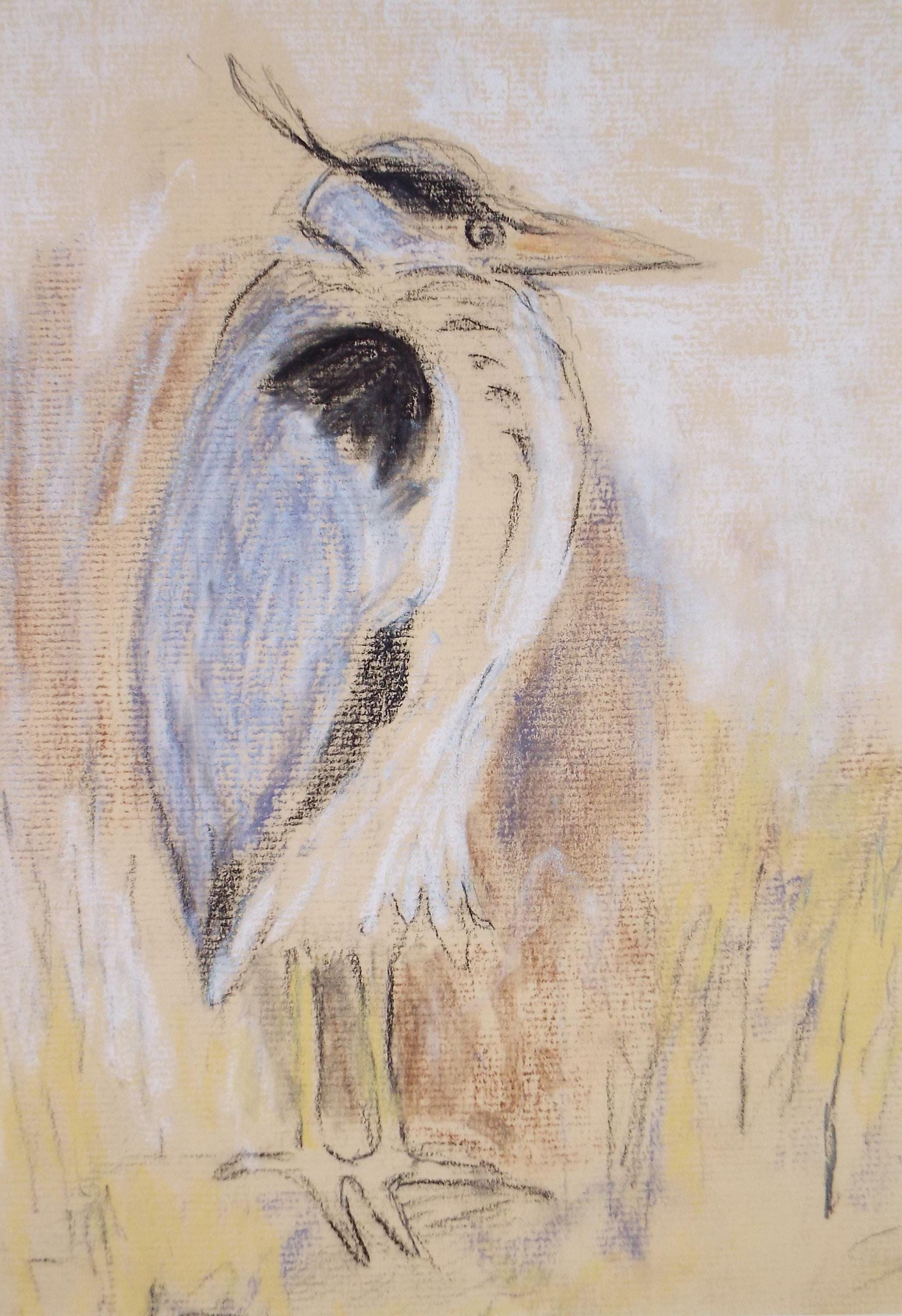 Original Pastel 'Heron Study', Circa 1980's, Artist Unknown